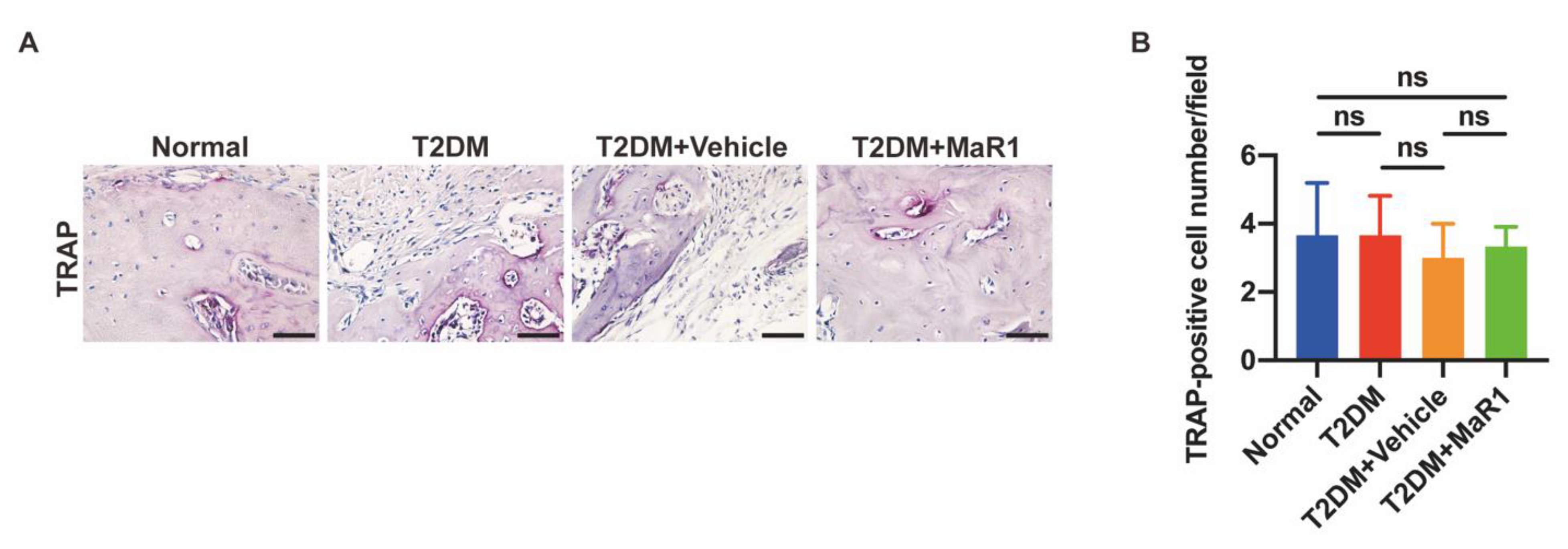 Cells 11 02560 g0a8 550