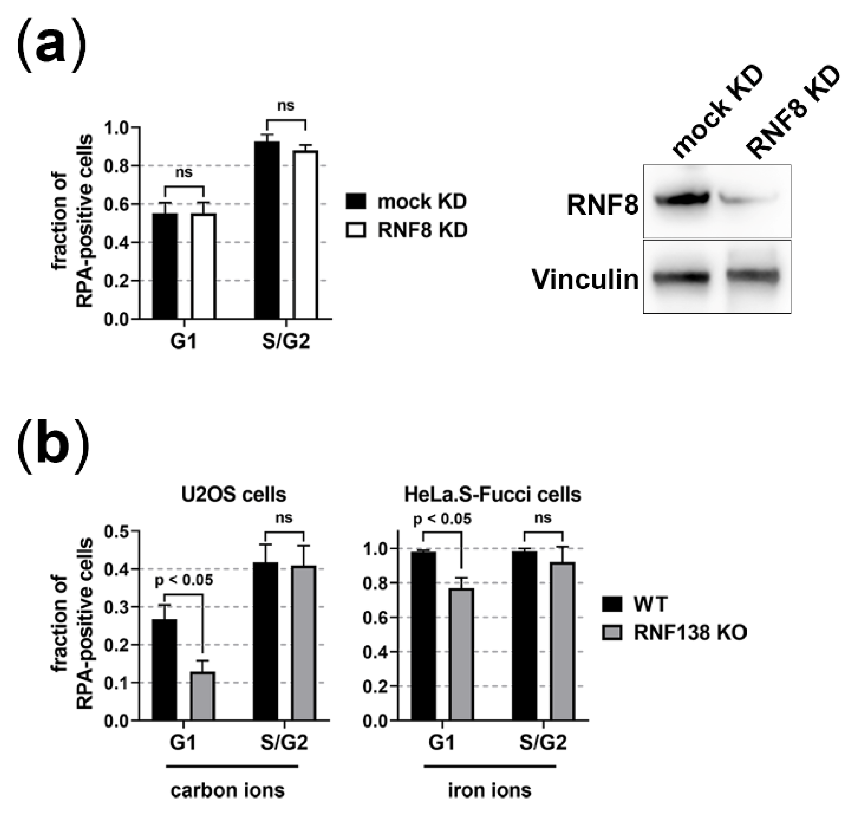 Cells 11 02561 g003 Cells 11 02561 g003