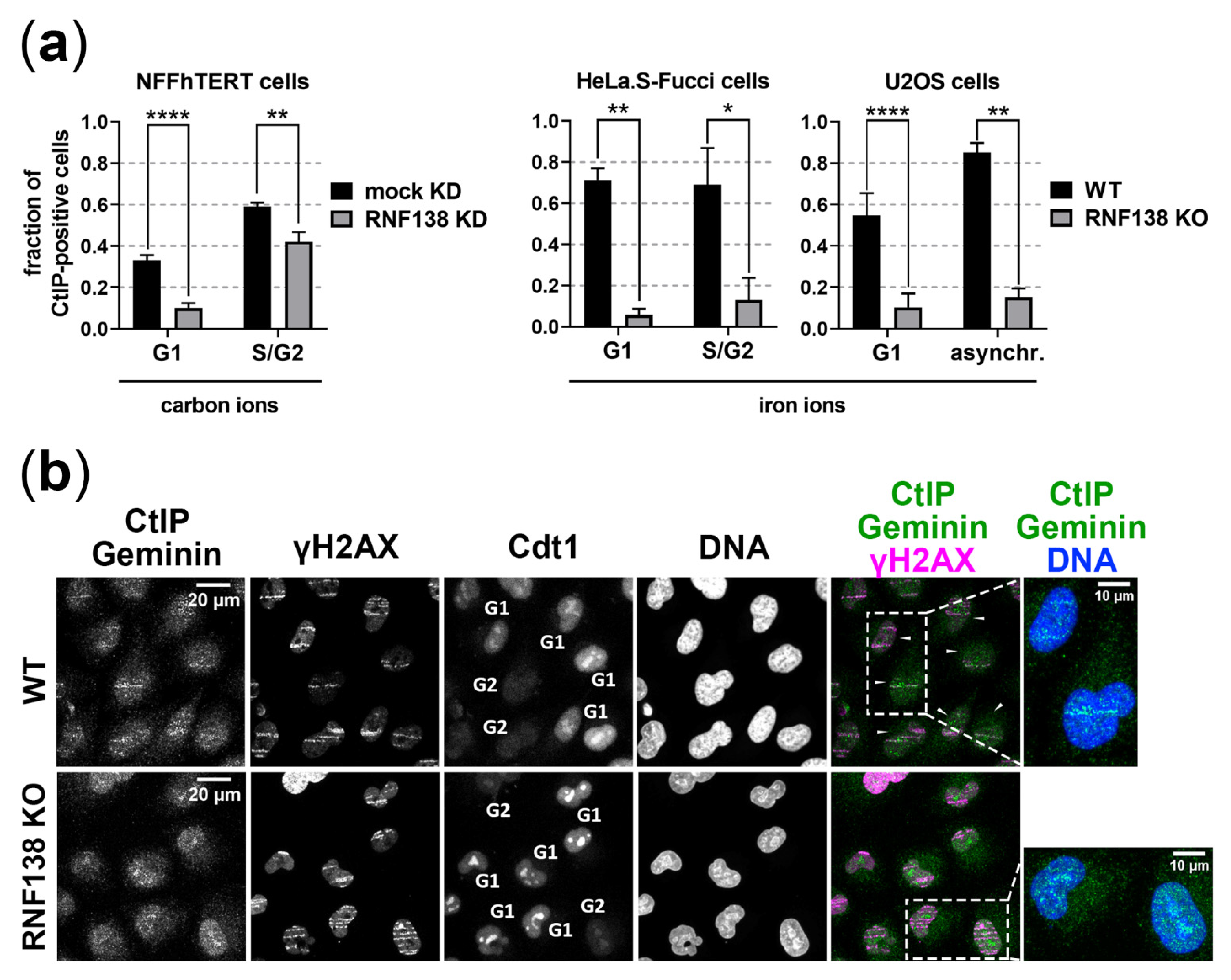 Cells 11 02561 g004 Cells 11 02561 g004
