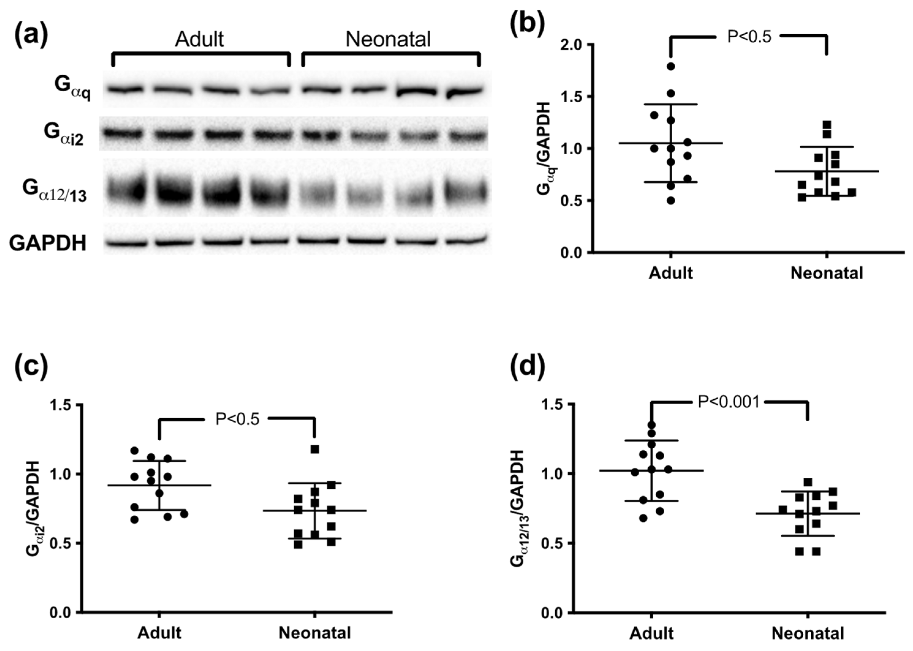Cells 11 02563 g002 Cells 11 02563 g002