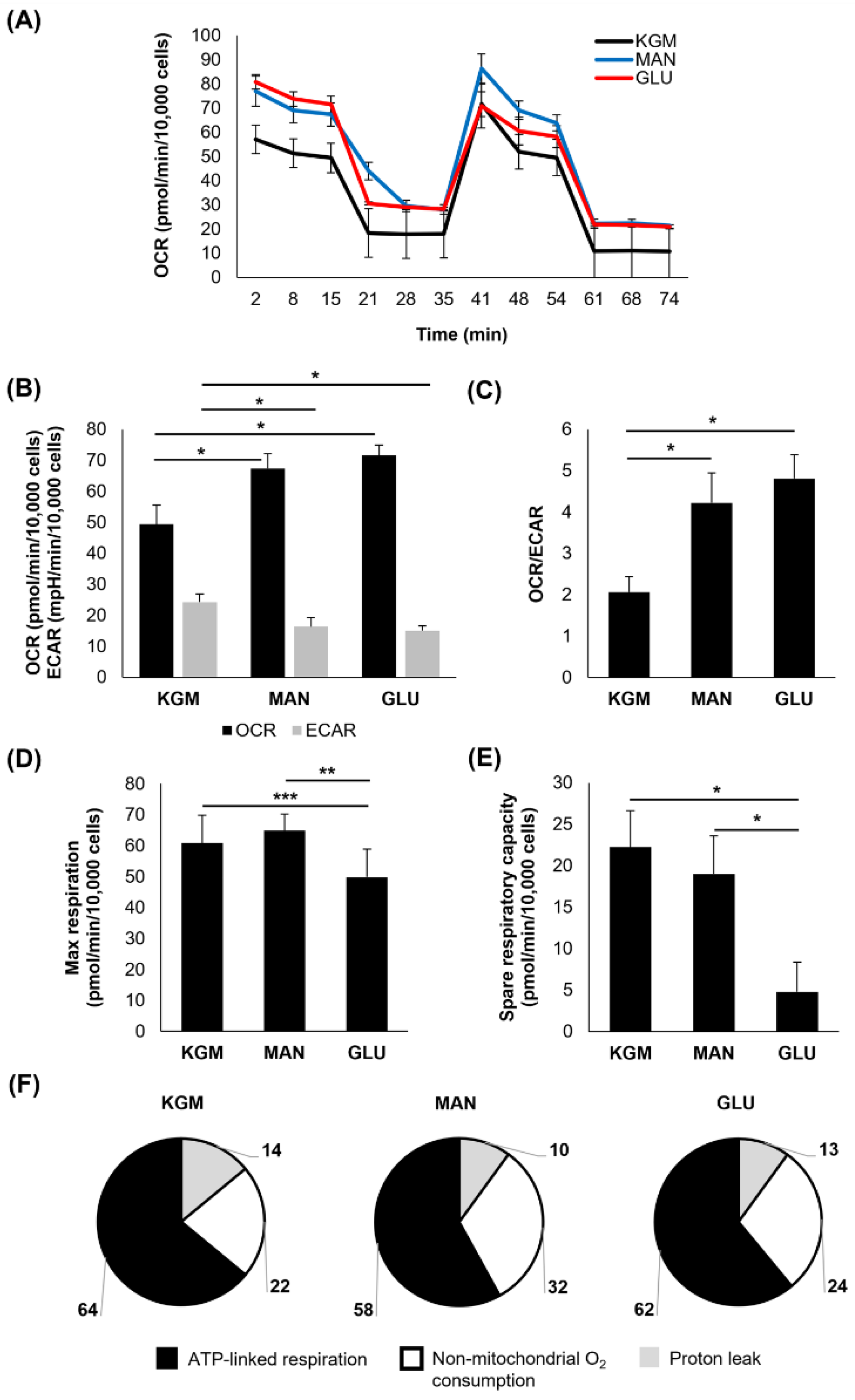 Cells 11 02567 g003 550