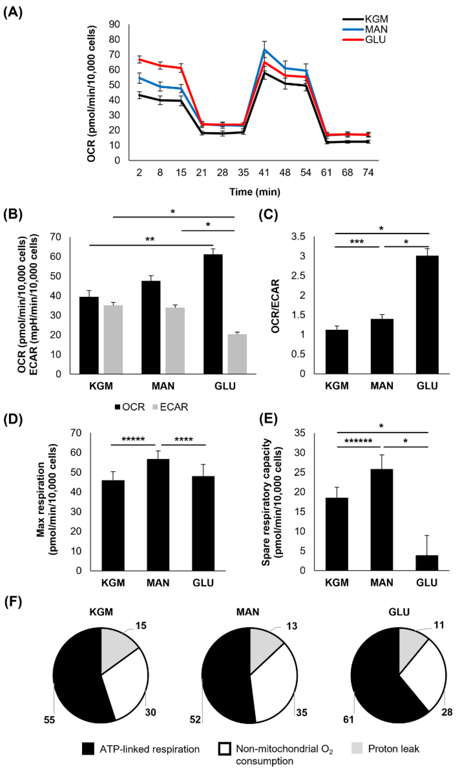 Cells 11 02567 g004 550