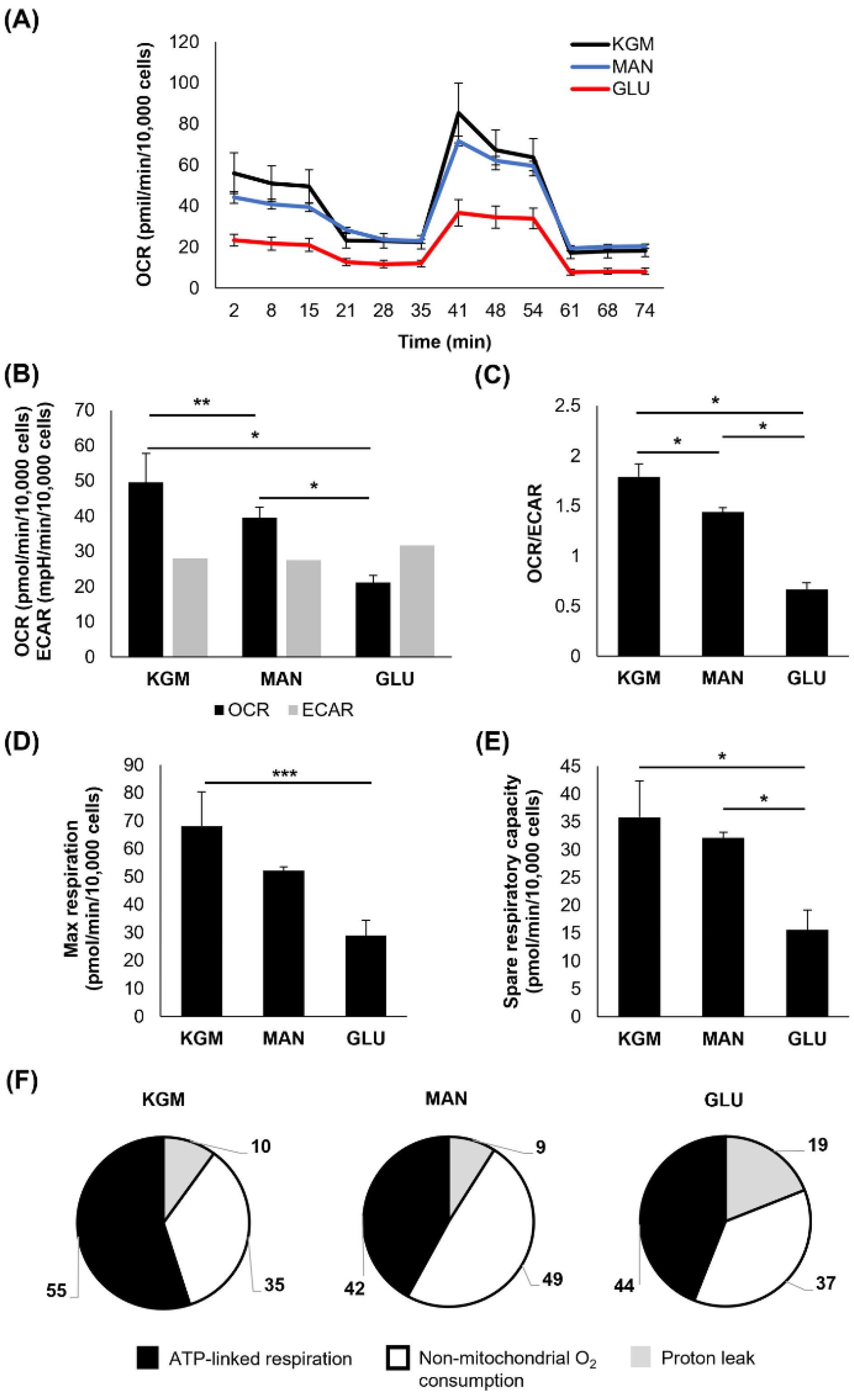 Cells 11 02567 g005 550