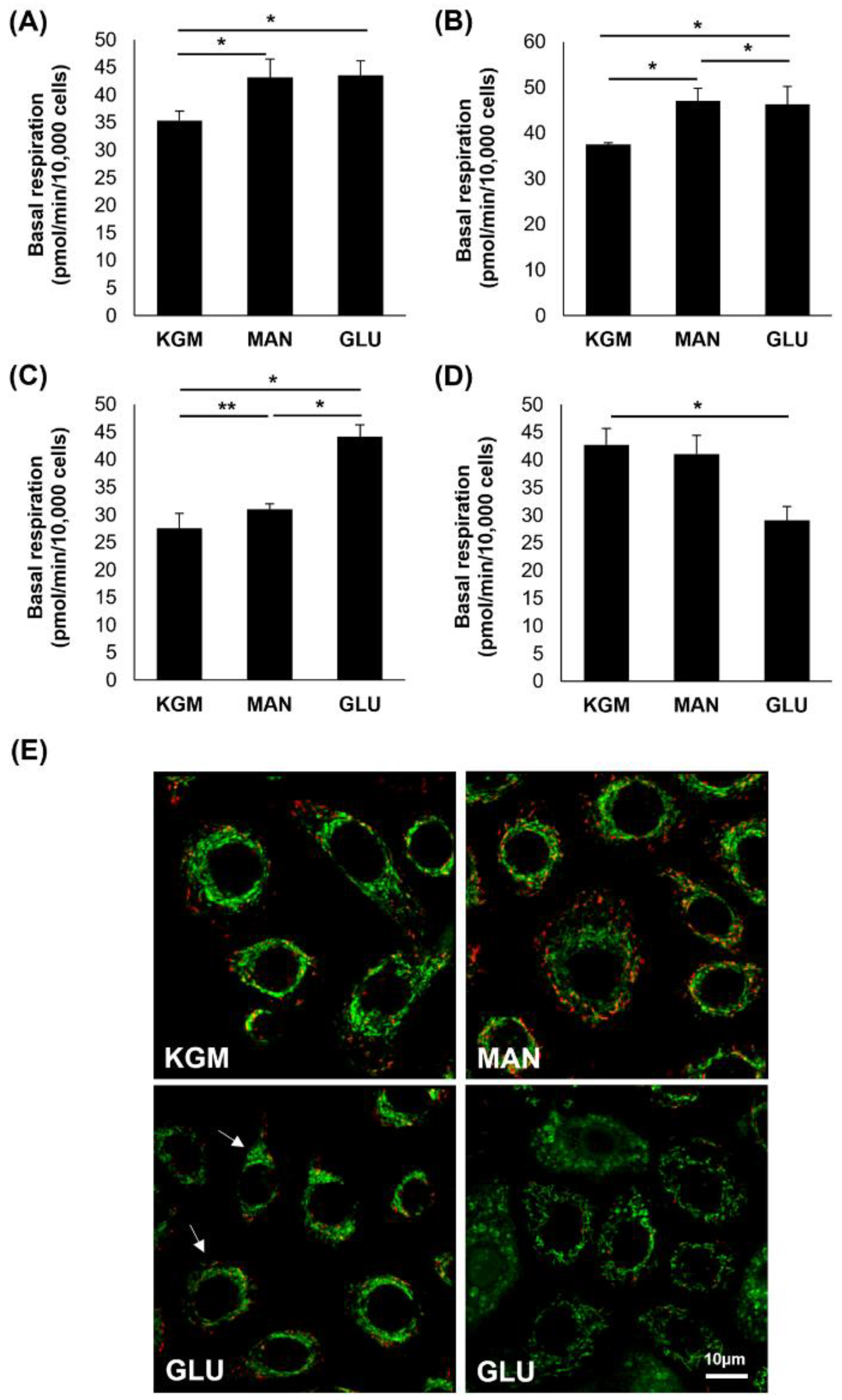 Cells 11 02567 g006 550