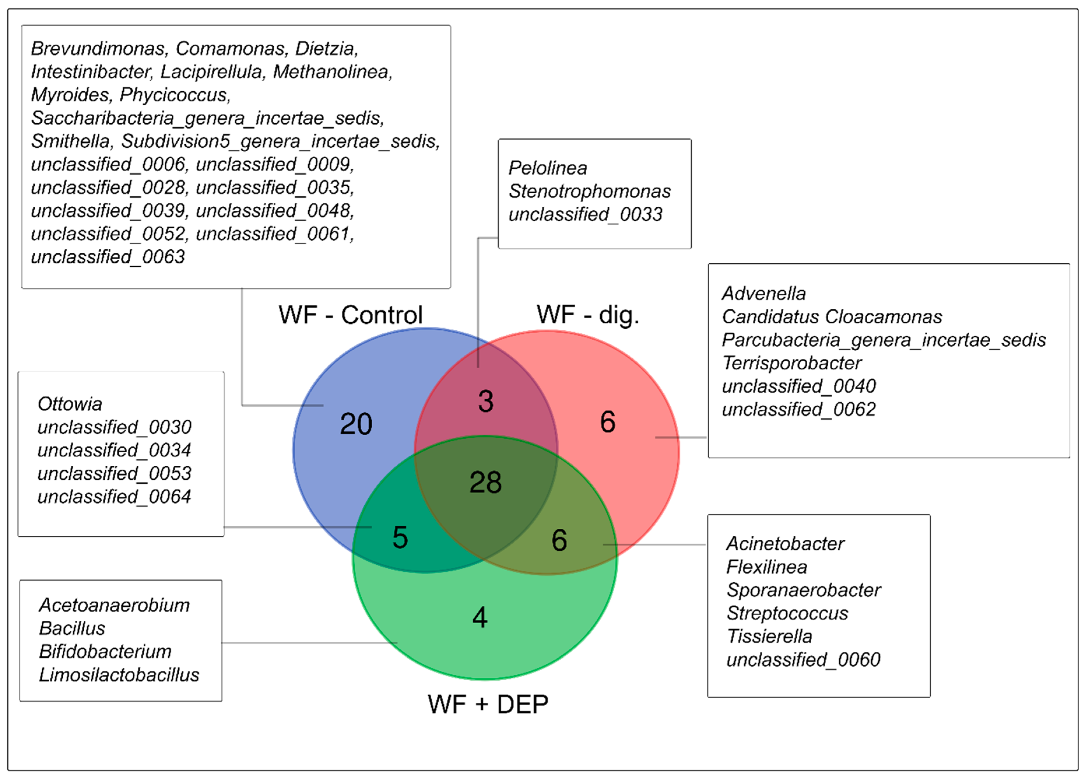 Cells 11 02571 g005 550