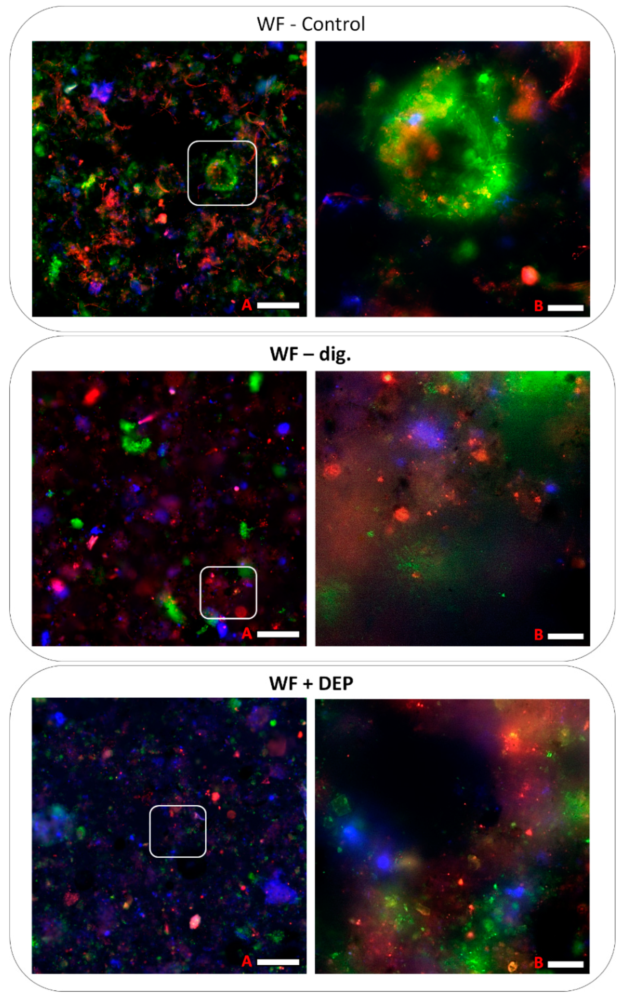 Cells 11 02571 g010 550