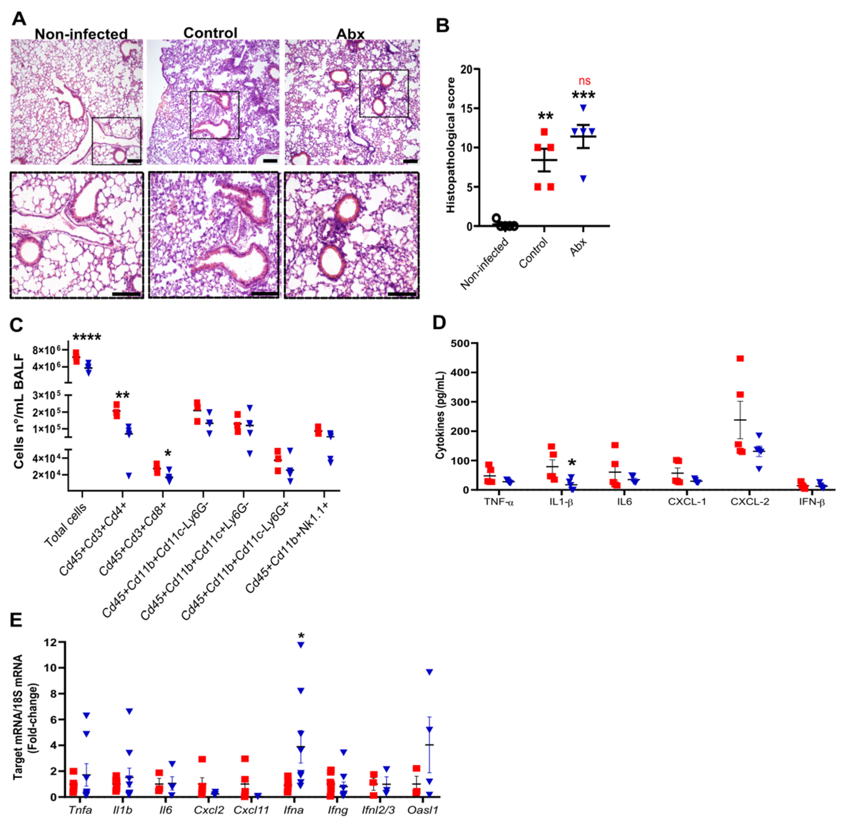 Cells 11 02572 g002 550