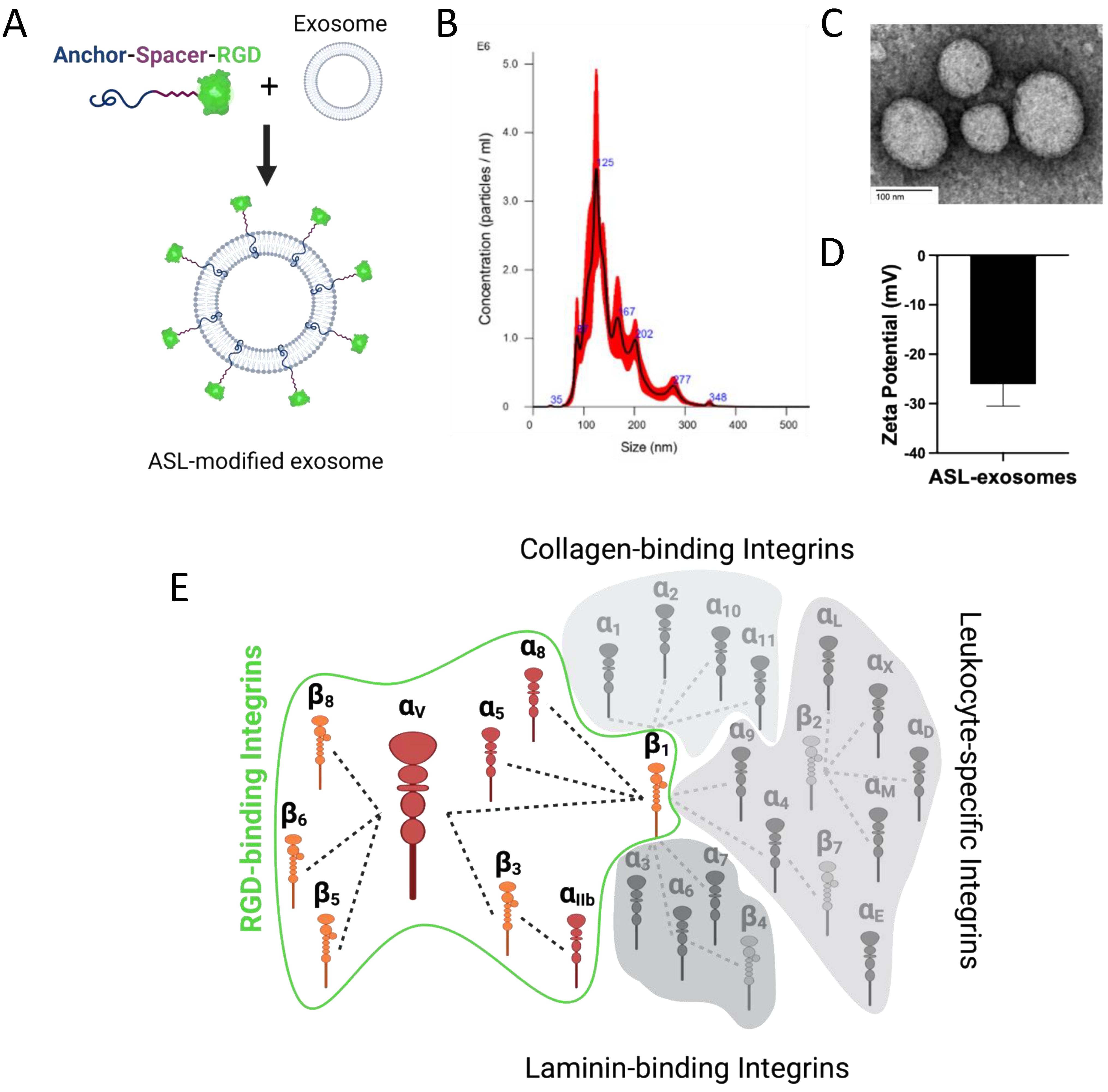 Cells 11 02573 g003 Cells 11 02573 g003