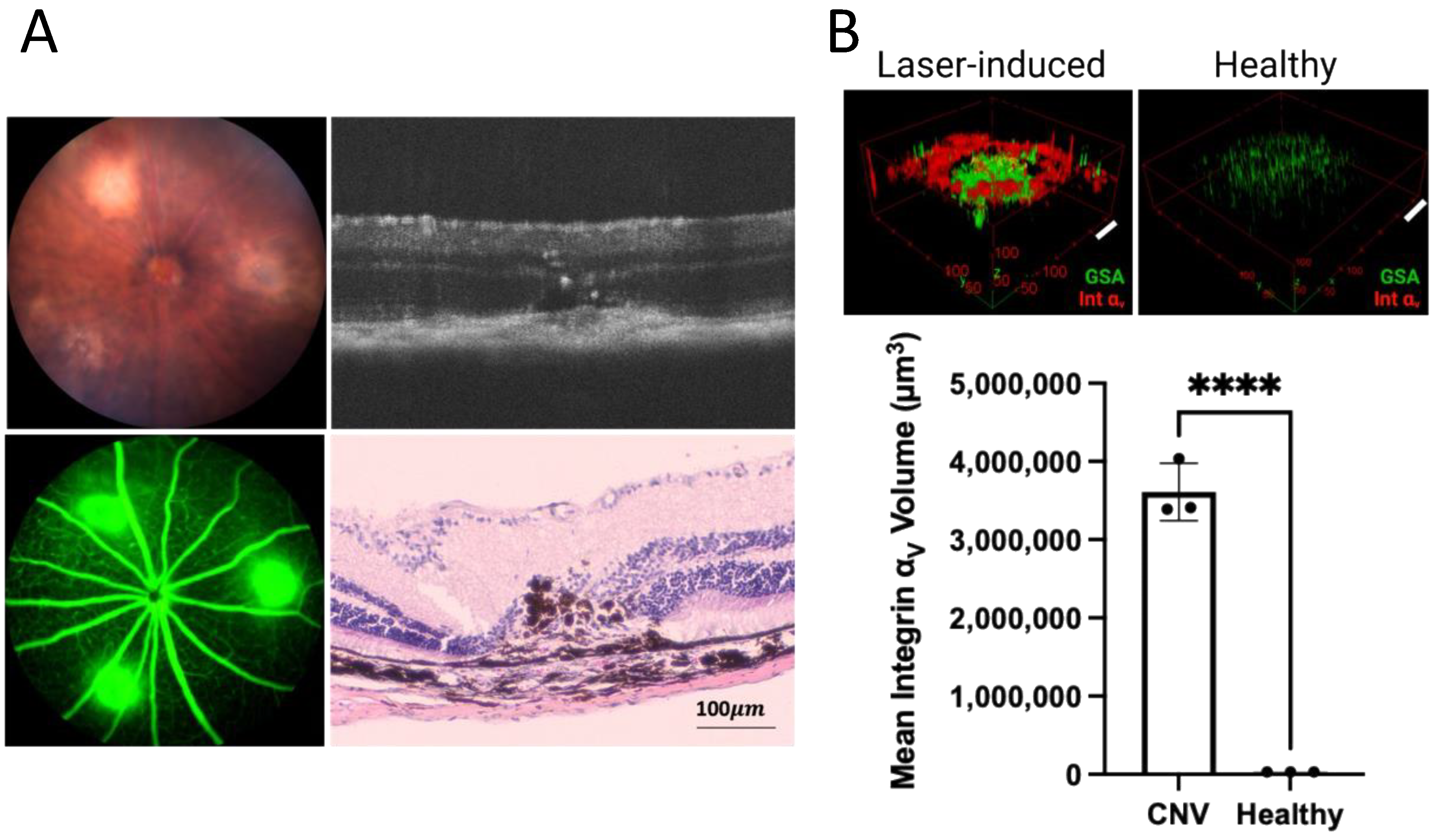 Cells 11 02573 g004 Cells 11 02573 g004