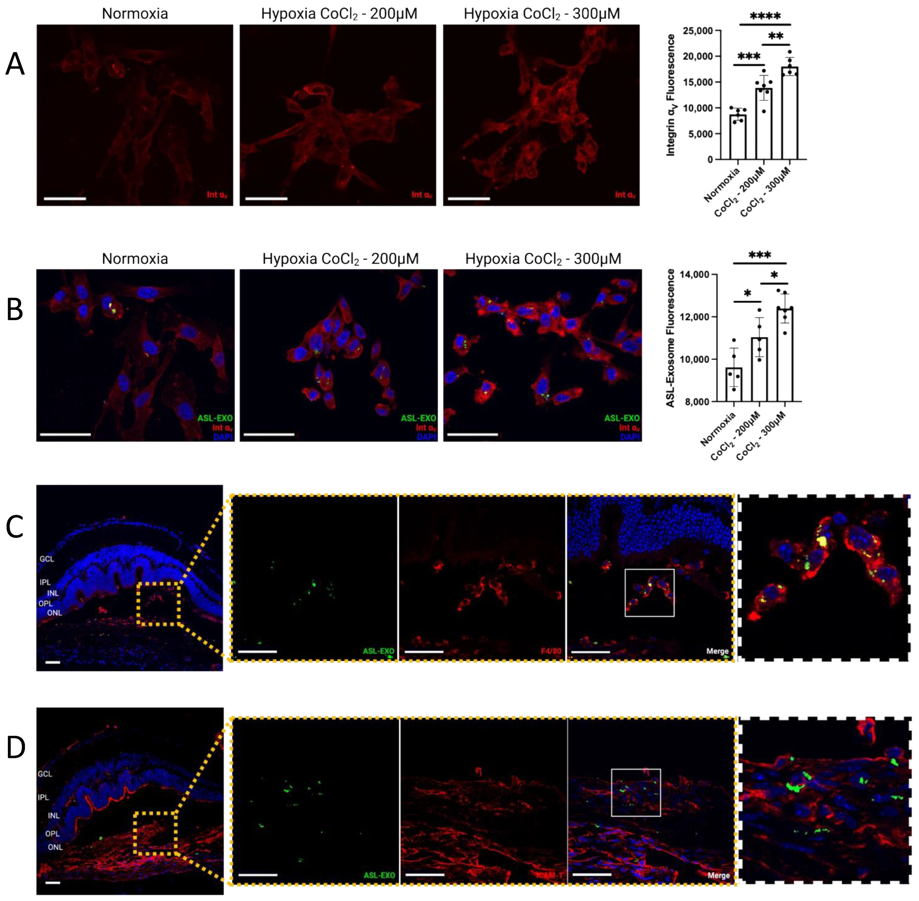 Cells 11 02573 g006 Cells 11 02573 g006