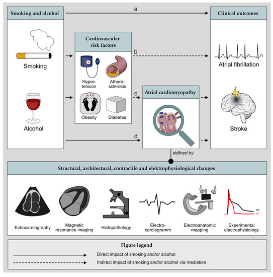Cells | Free Full-Text | Harmful Impact of Tobacco Smoking and