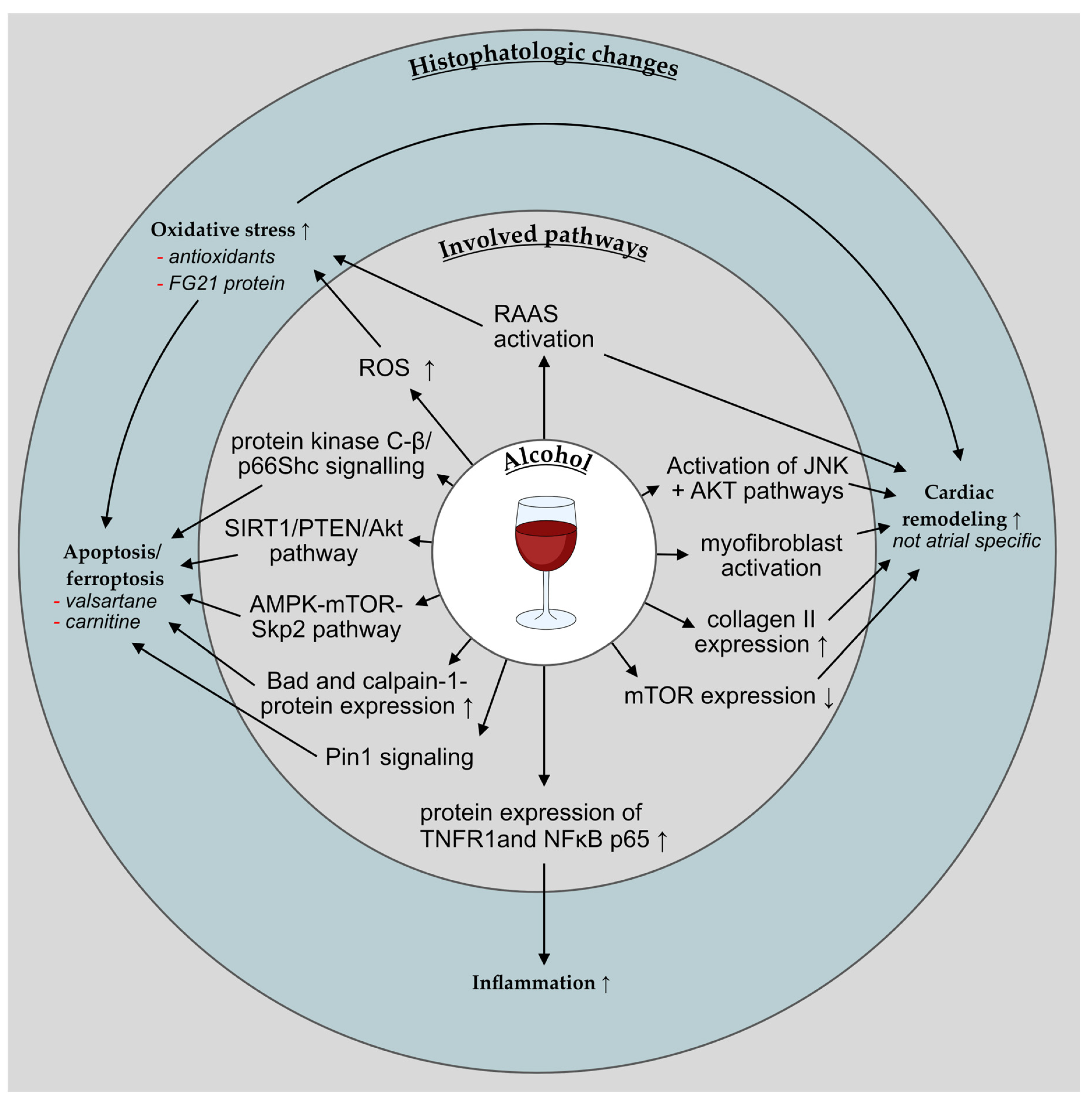 Cells | Free Full-Text | Harmful Impact of Tobacco Smoking and