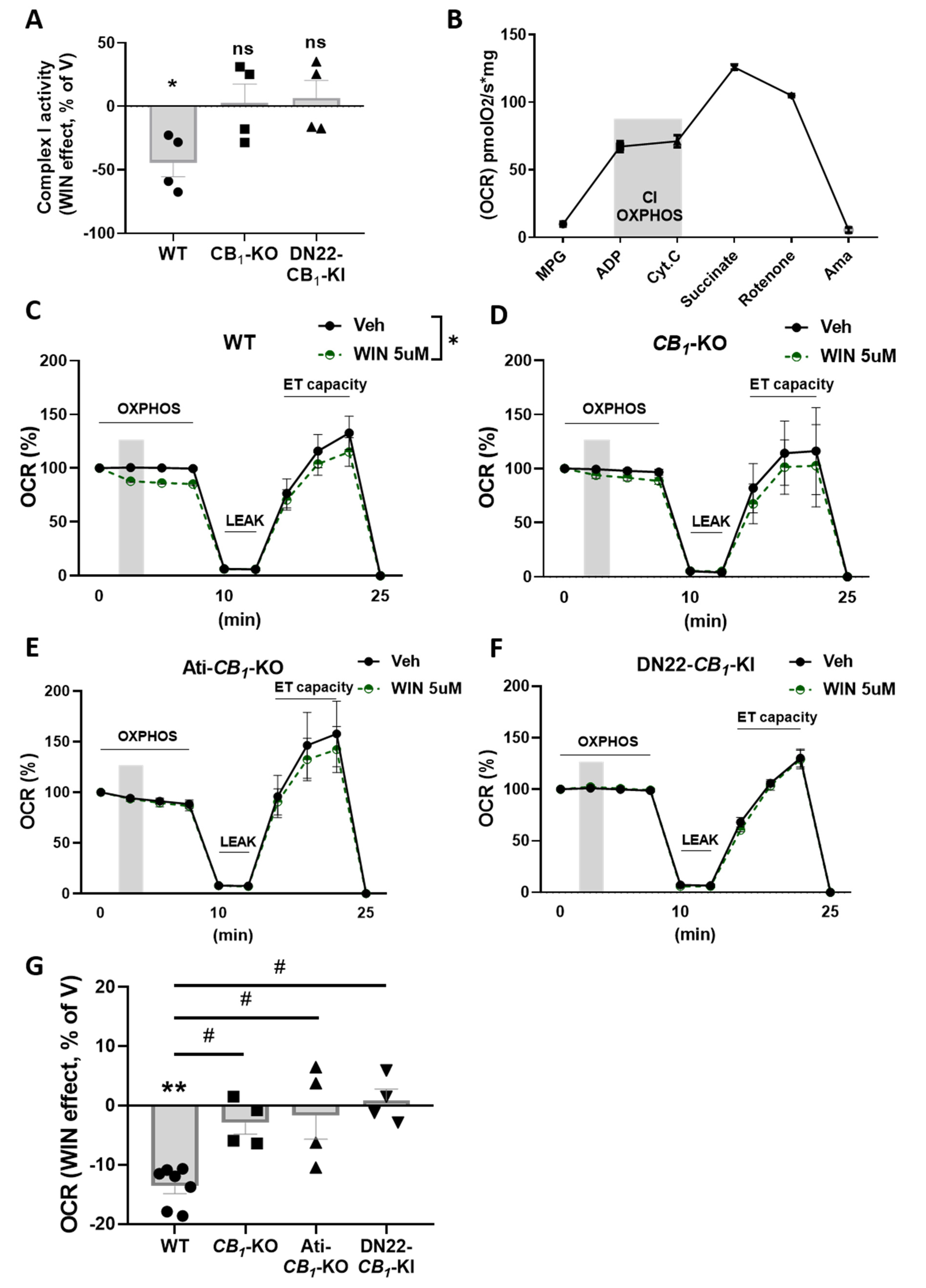 Cells 11 02582 g002 550