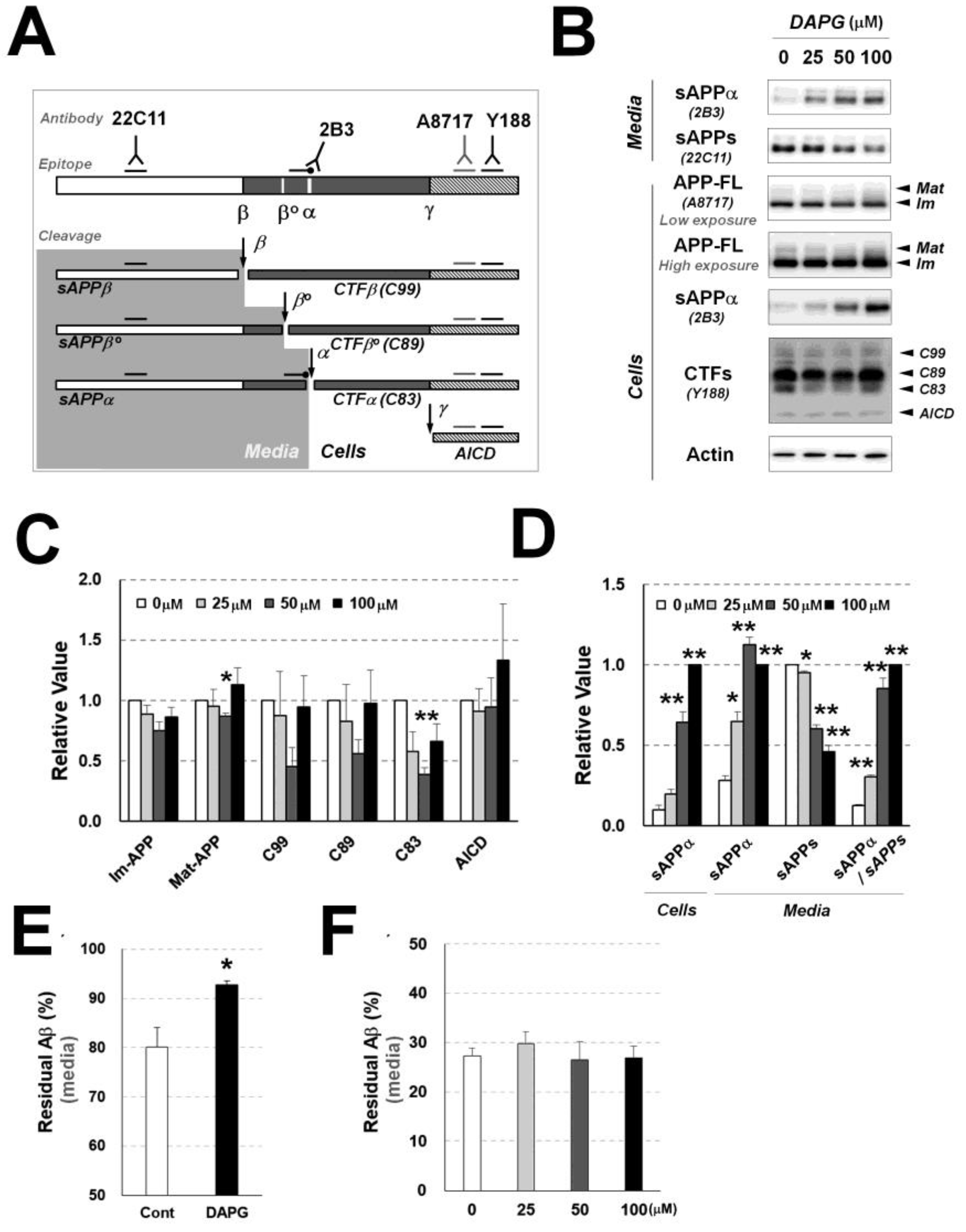 Cells 11 02585 g003 550