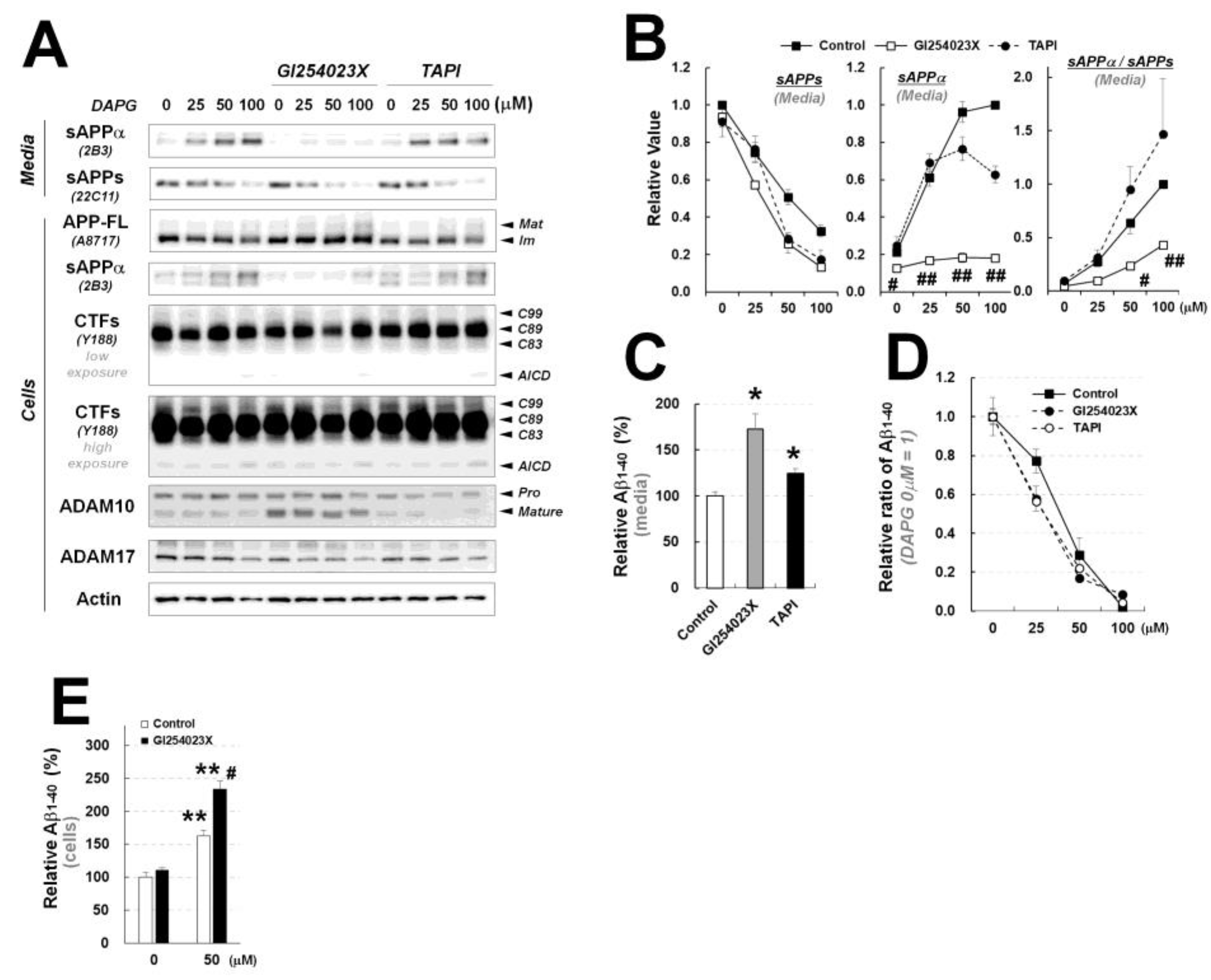 Cells 11 02585 g007 550