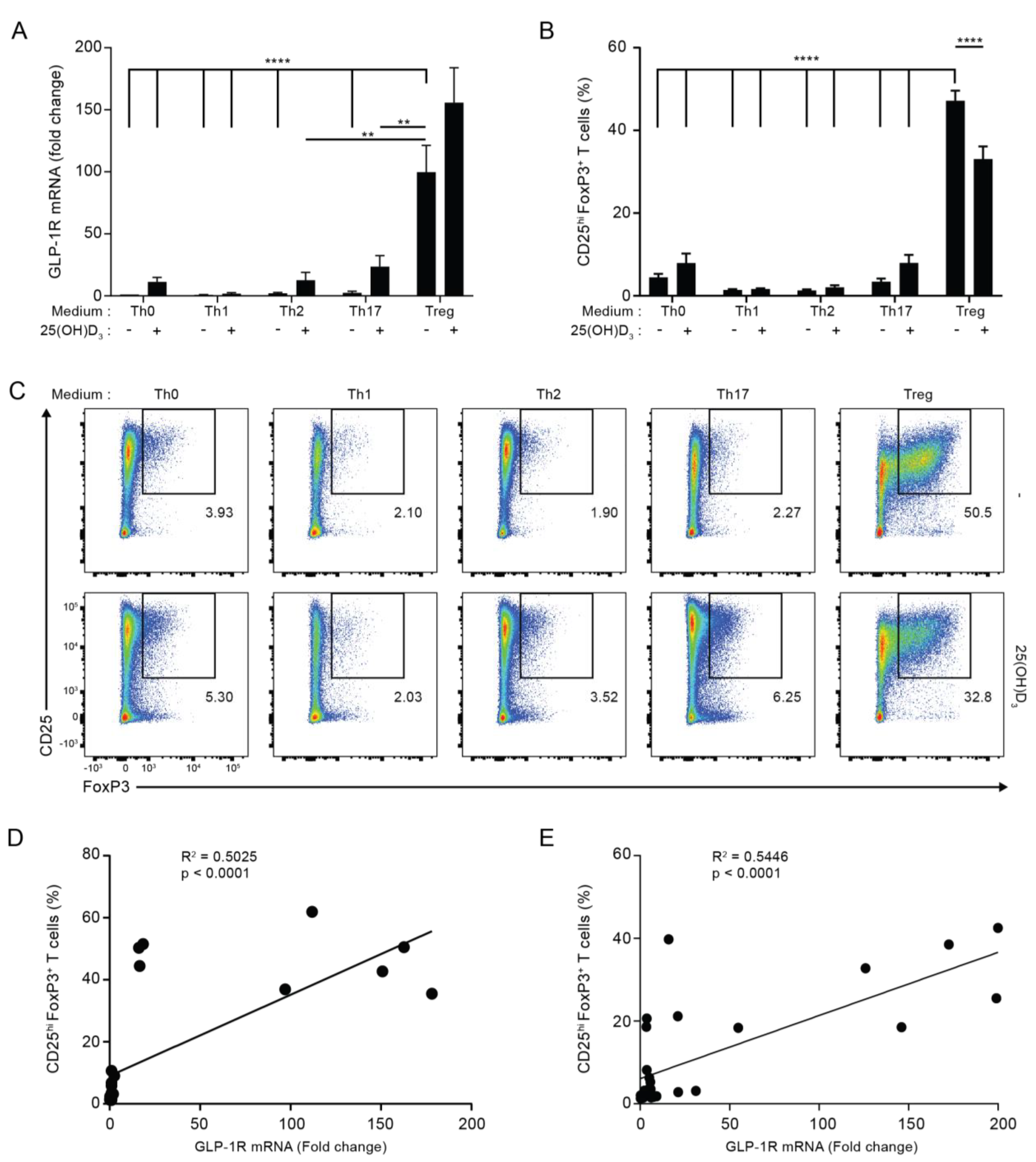 Cells 11 02587 g002 550