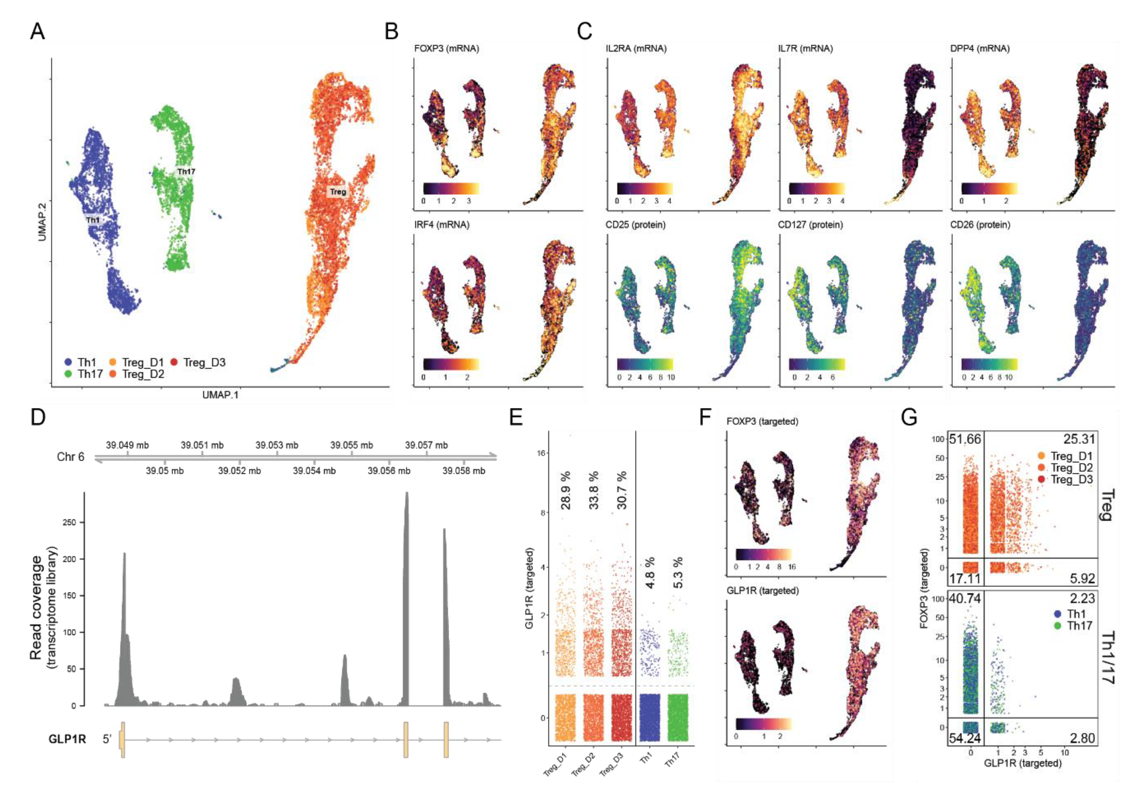 Cells 11 02587 g004 550