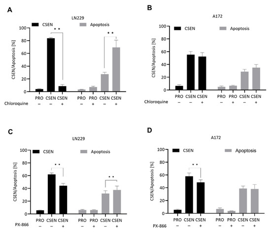 Abrogation of Cellular Senescence Induced by Temozolomide in