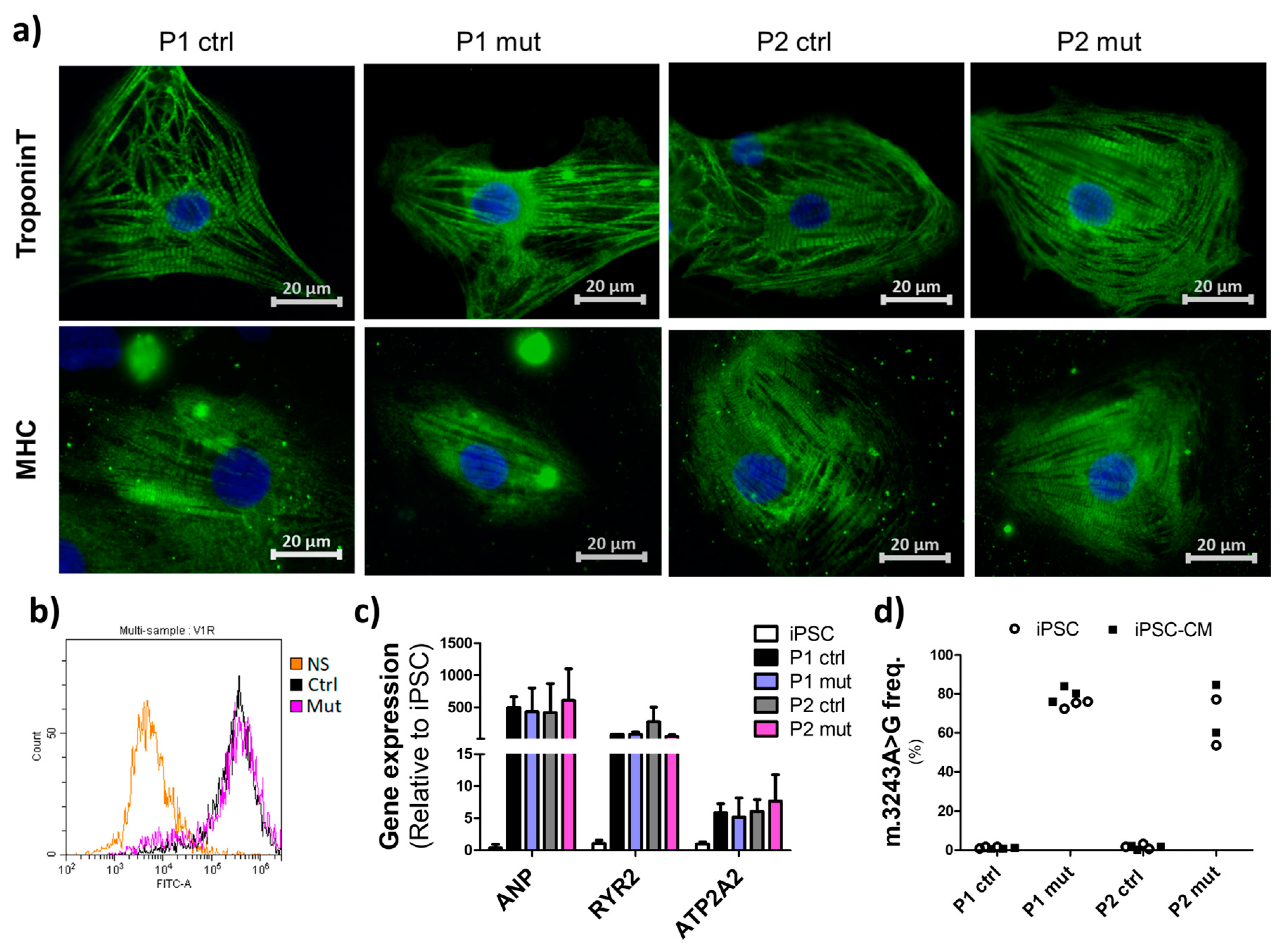 Cells 11 02593 g001 550