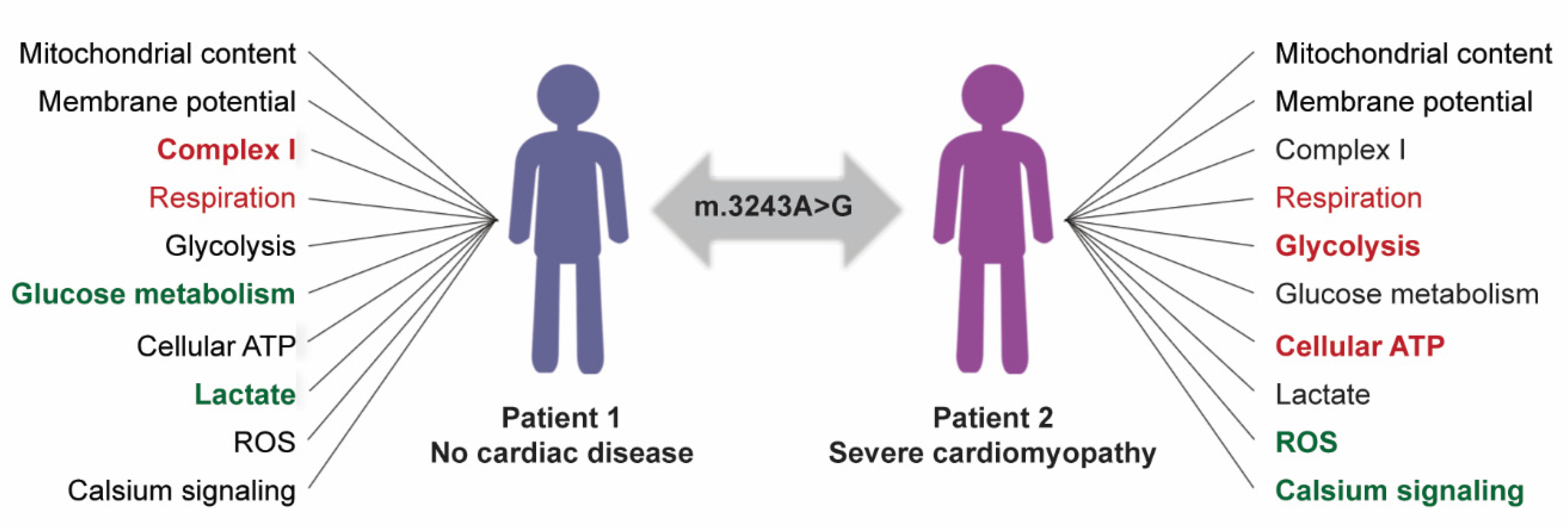 Cells 11 02593 g007 550