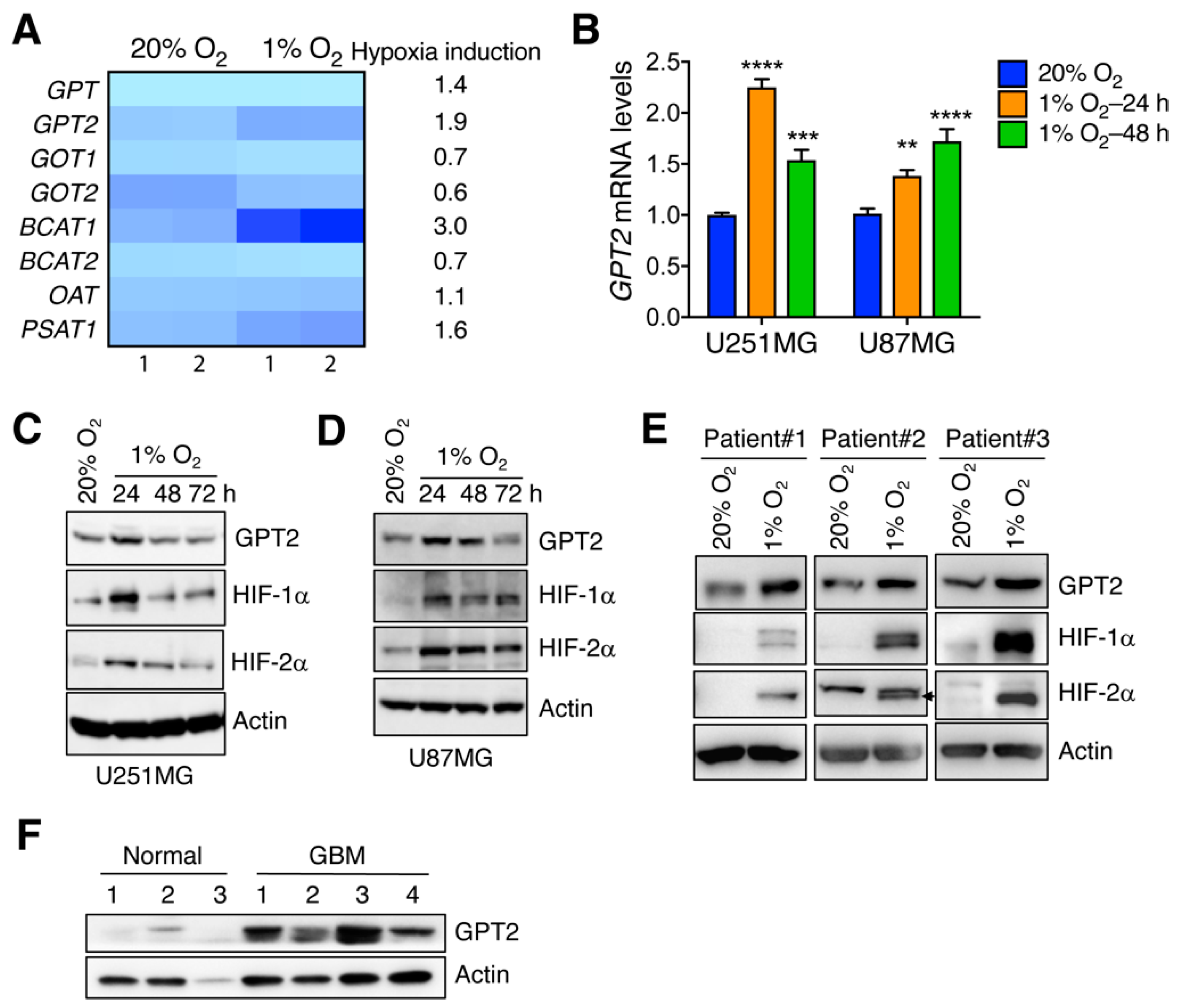 Cells 11 02597 g001 550