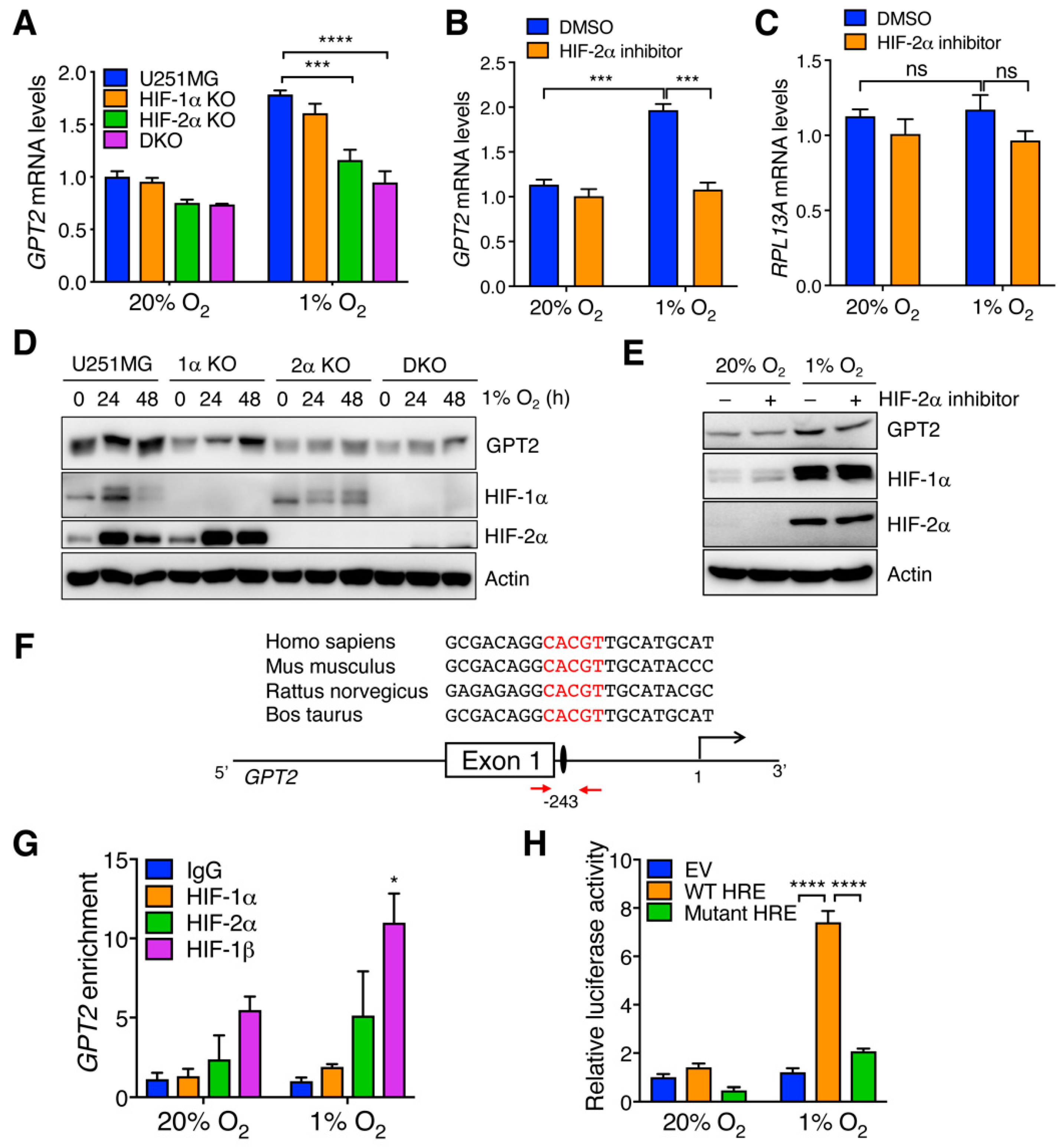 Cells 11 02597 g002 550
