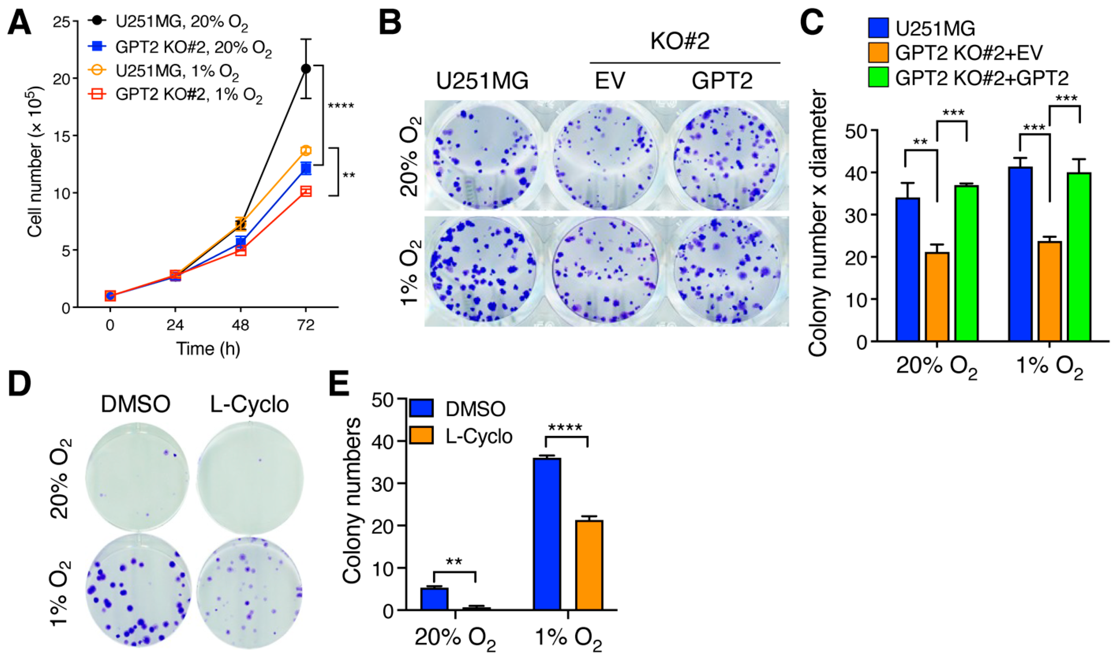 Cells 11 02597 g005 550