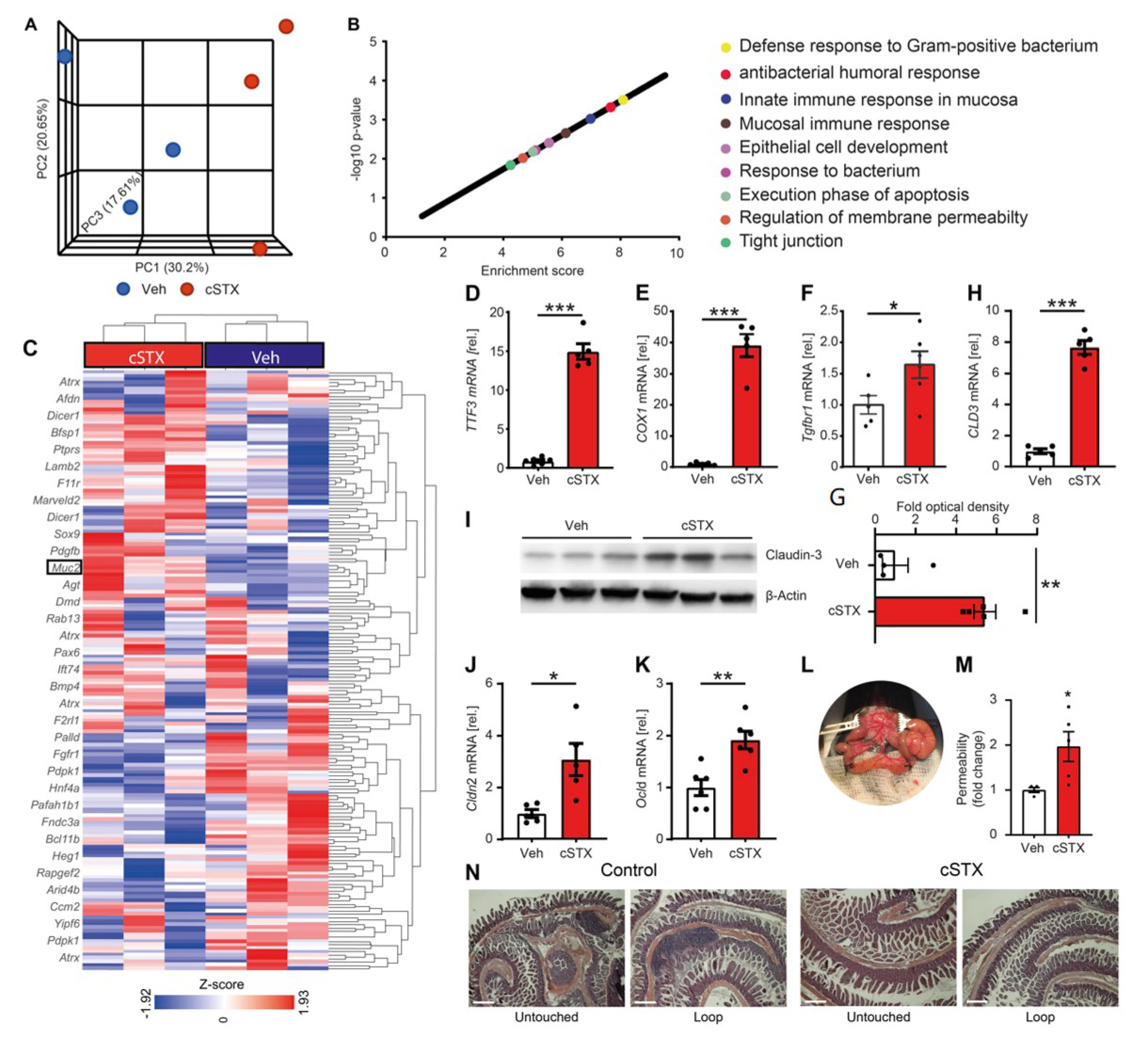 Cells 11 02606 g002 550