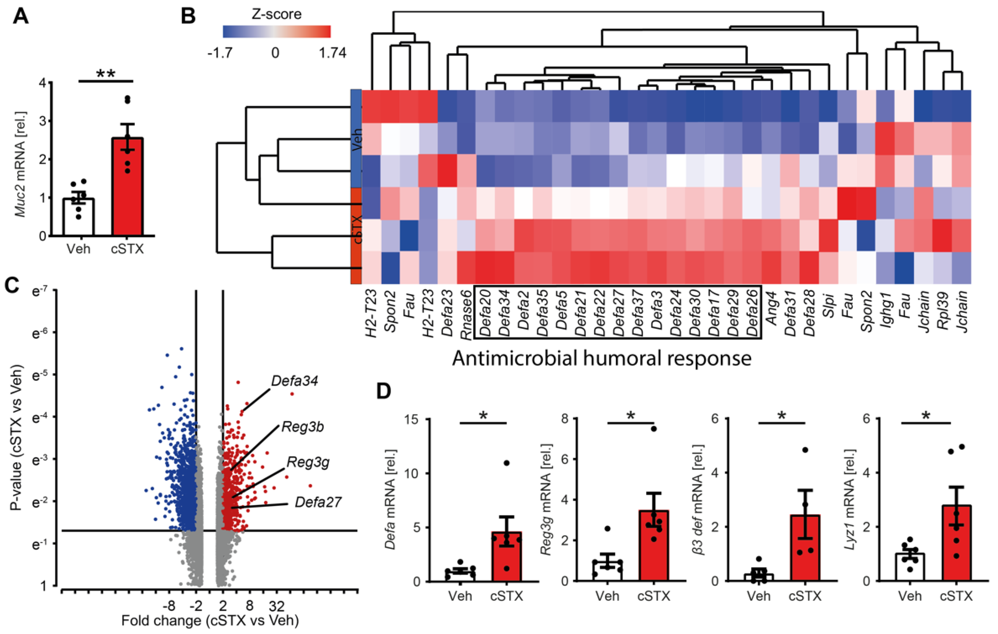 Cells 11 02606 g003 550
