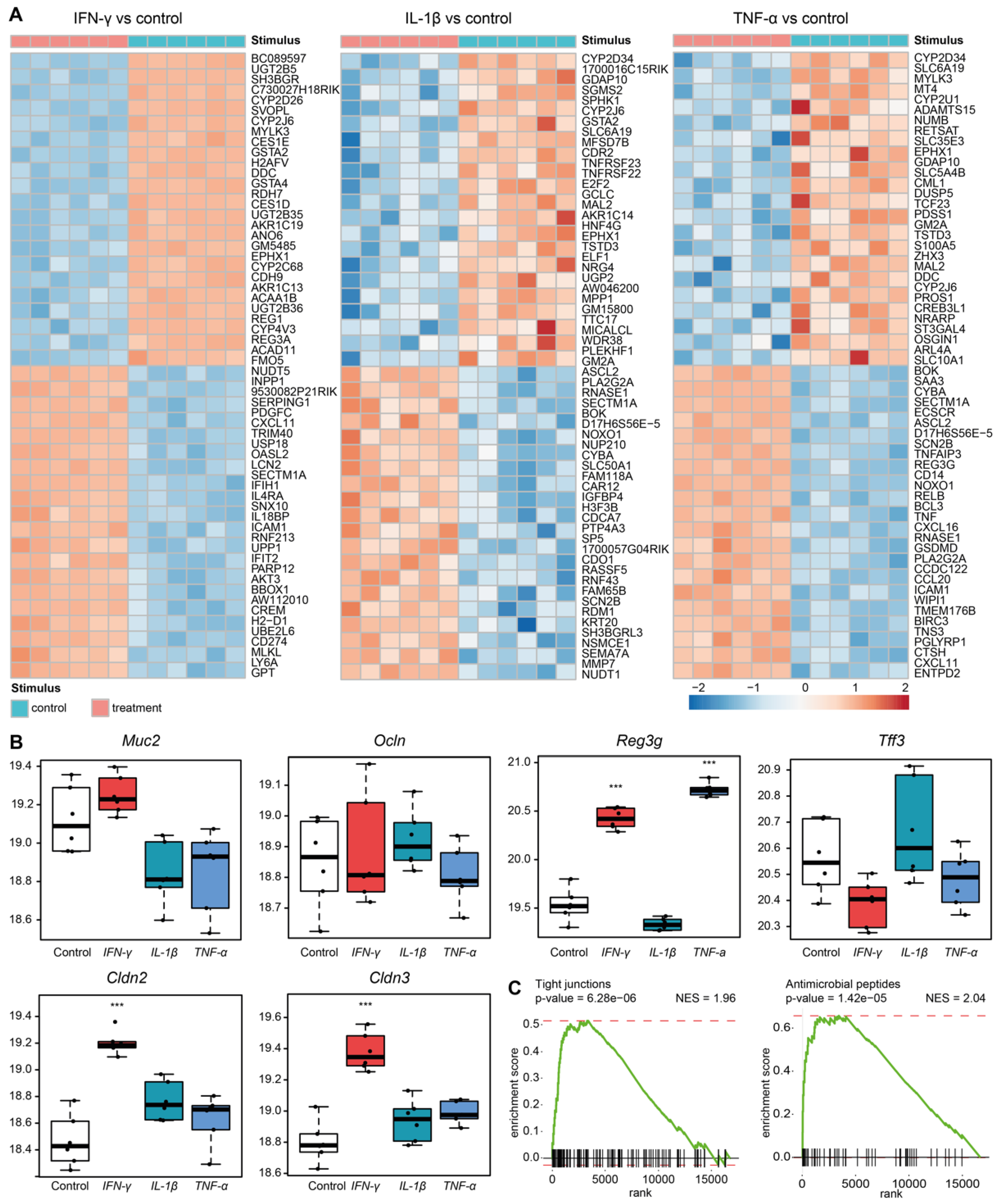 Cells 11 02606 g004 550