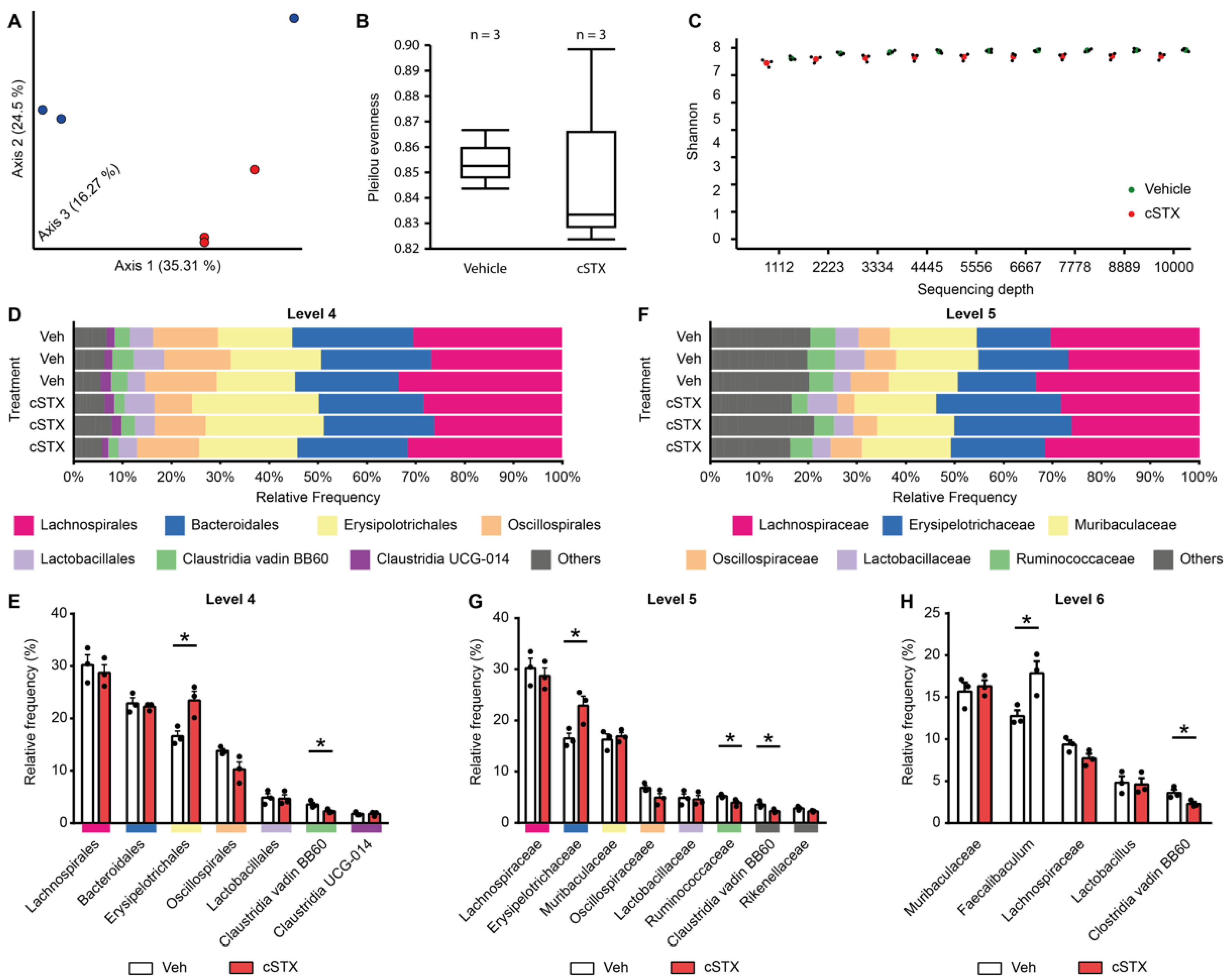 Cells 11 02606 g005 550