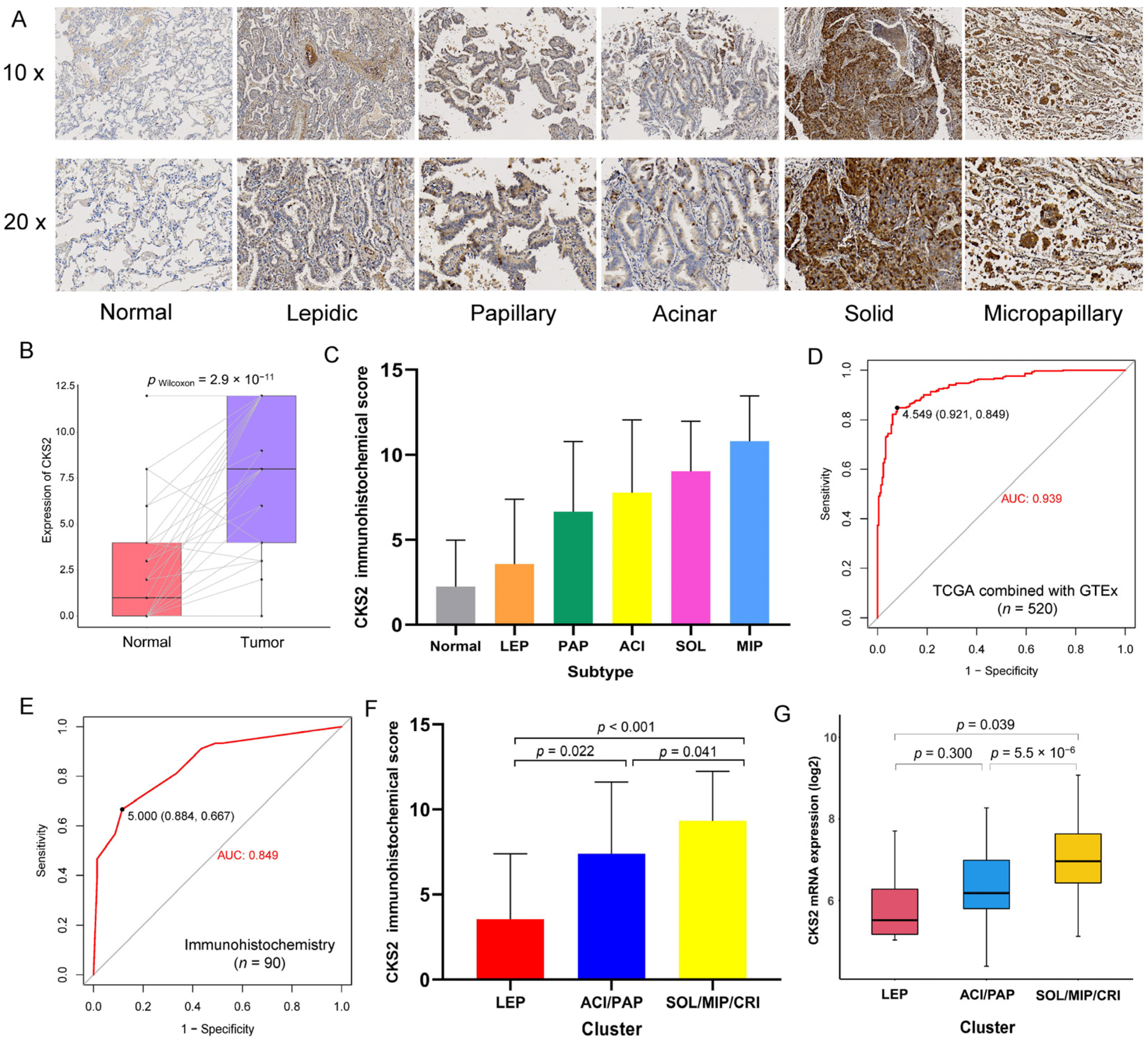 Cells 11 02611 g001 550