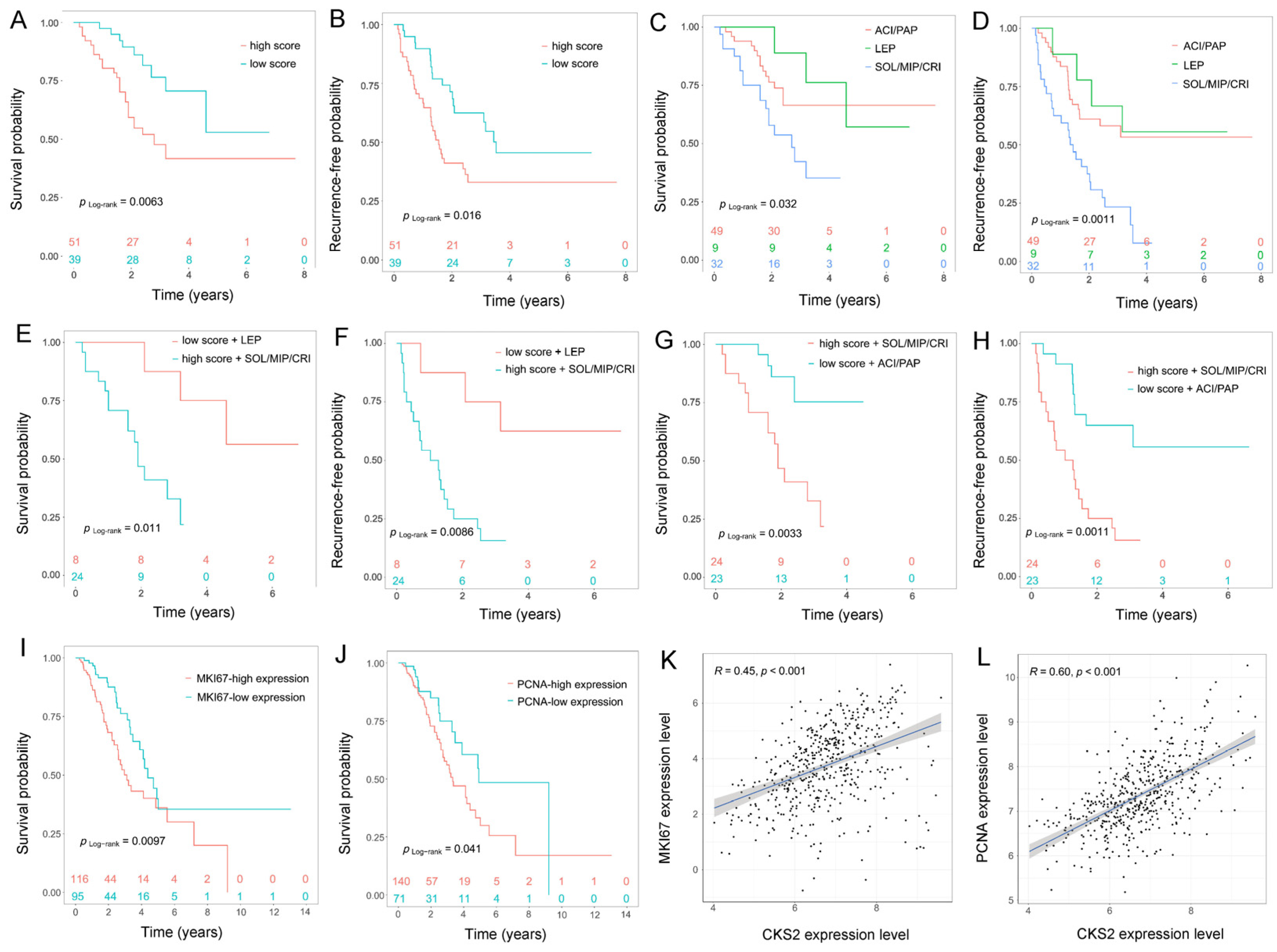 Cells 11 02611 g002 550