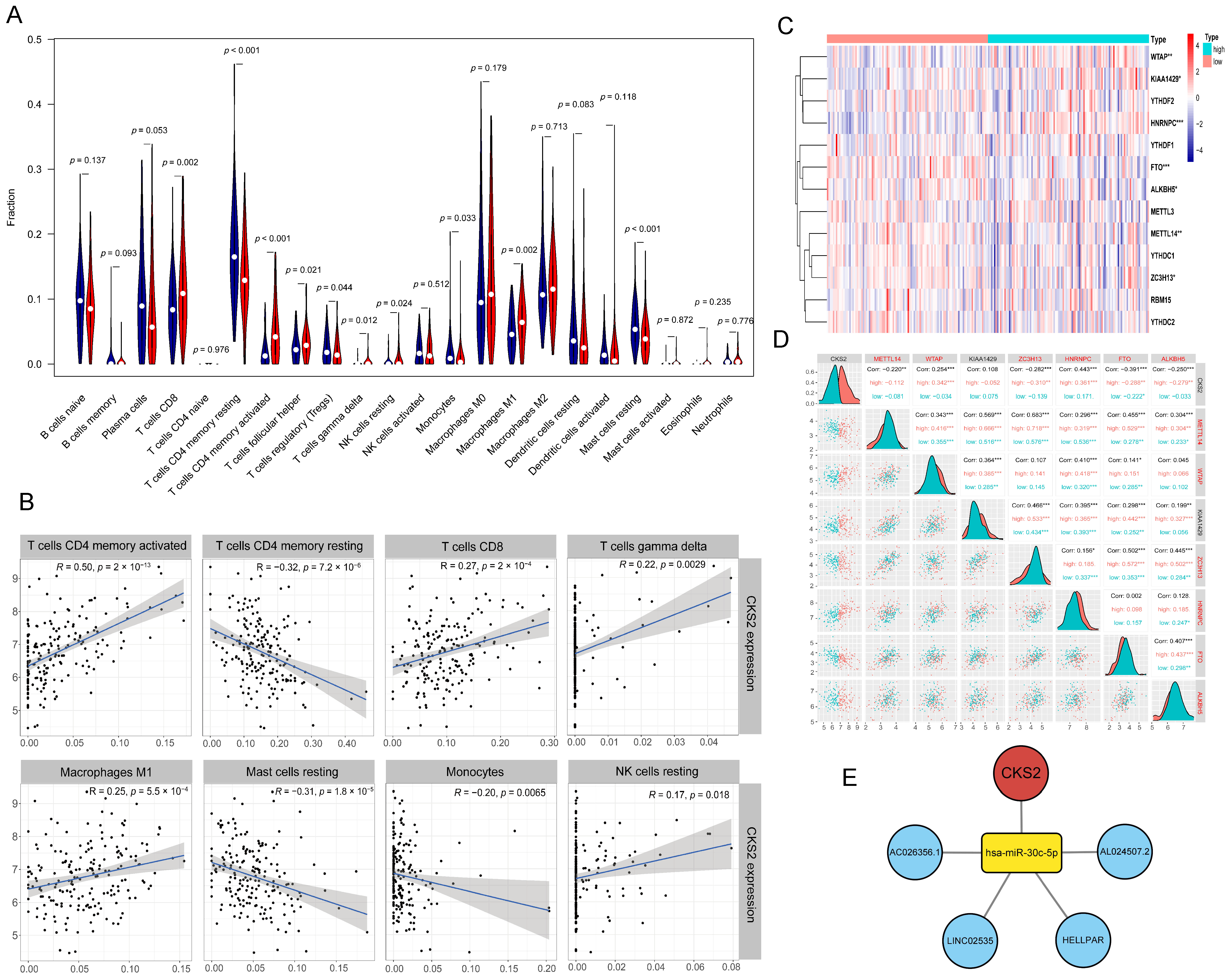 Cells 11 02611 g004 550