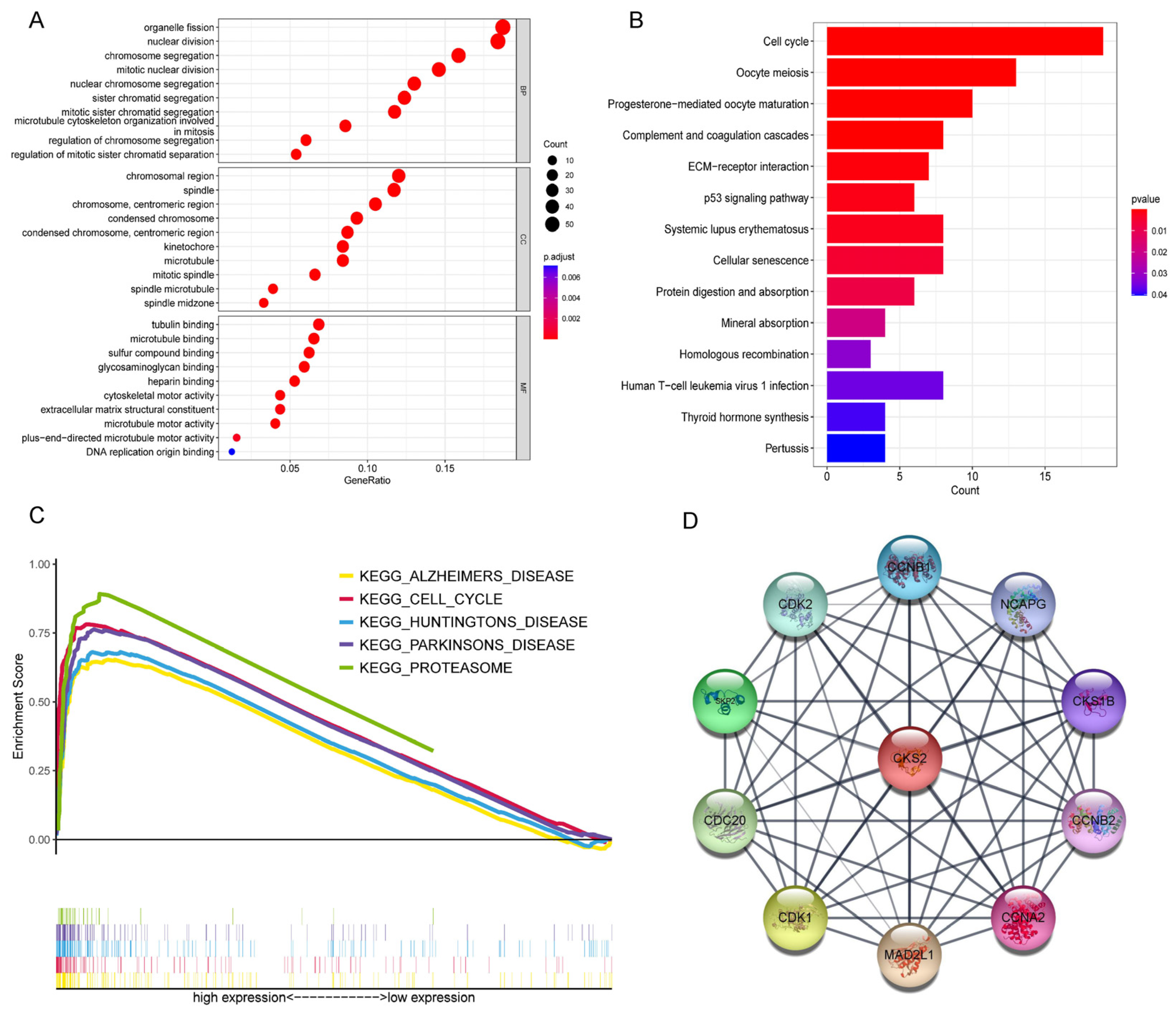 Cells 11 02611 g005 550