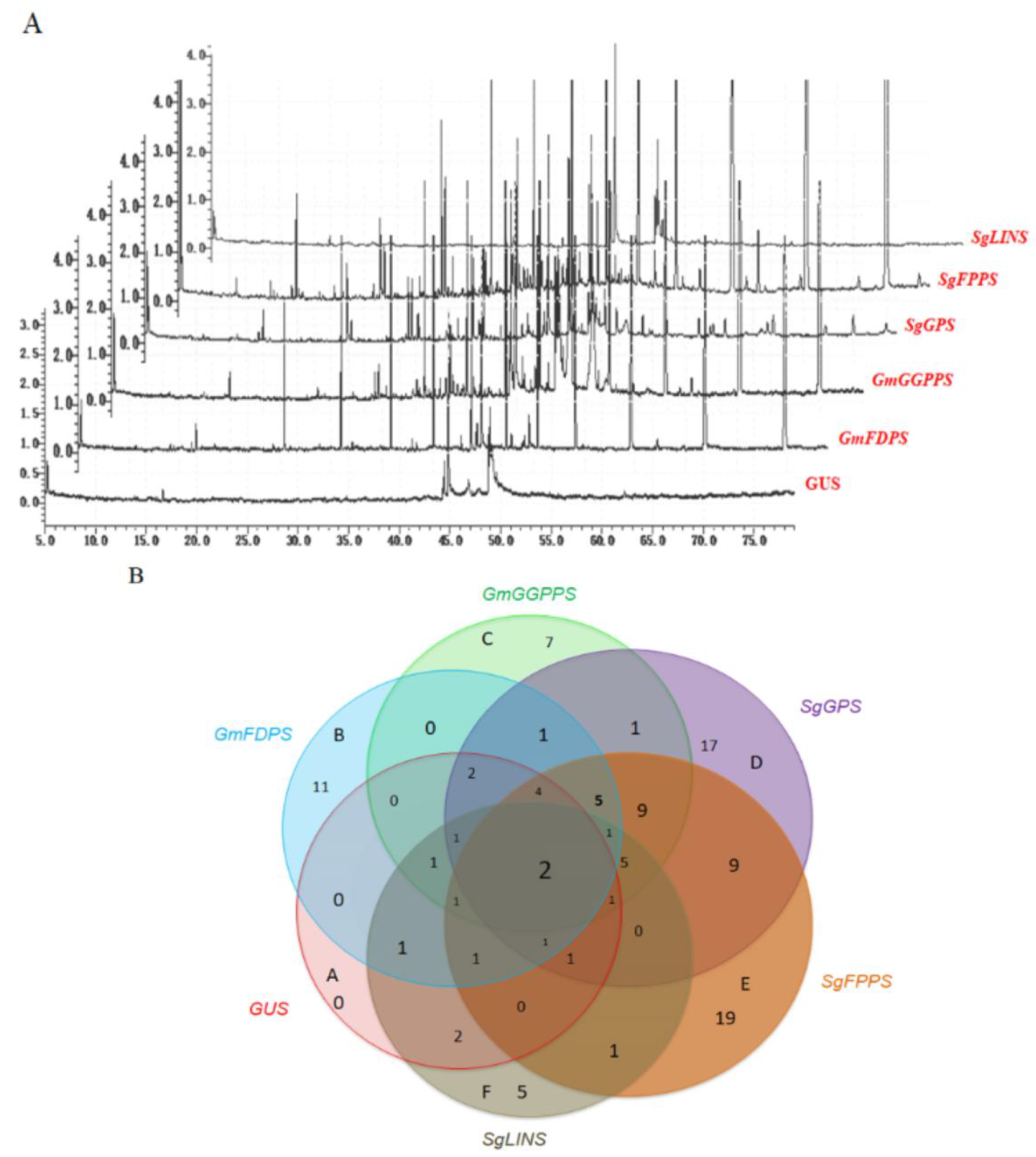 Cells 11 02622 g002 550