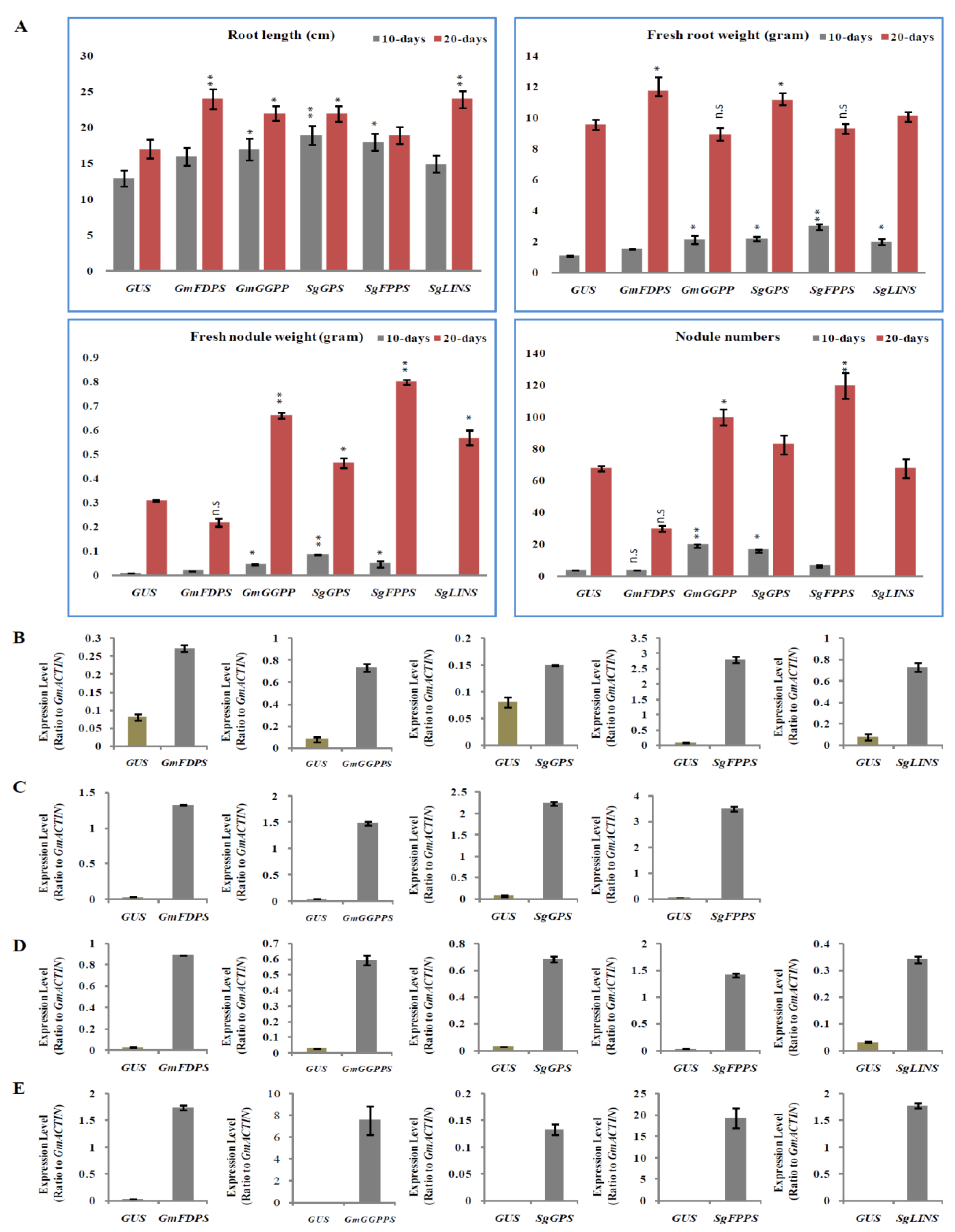 Cells 11 02622 g004 550