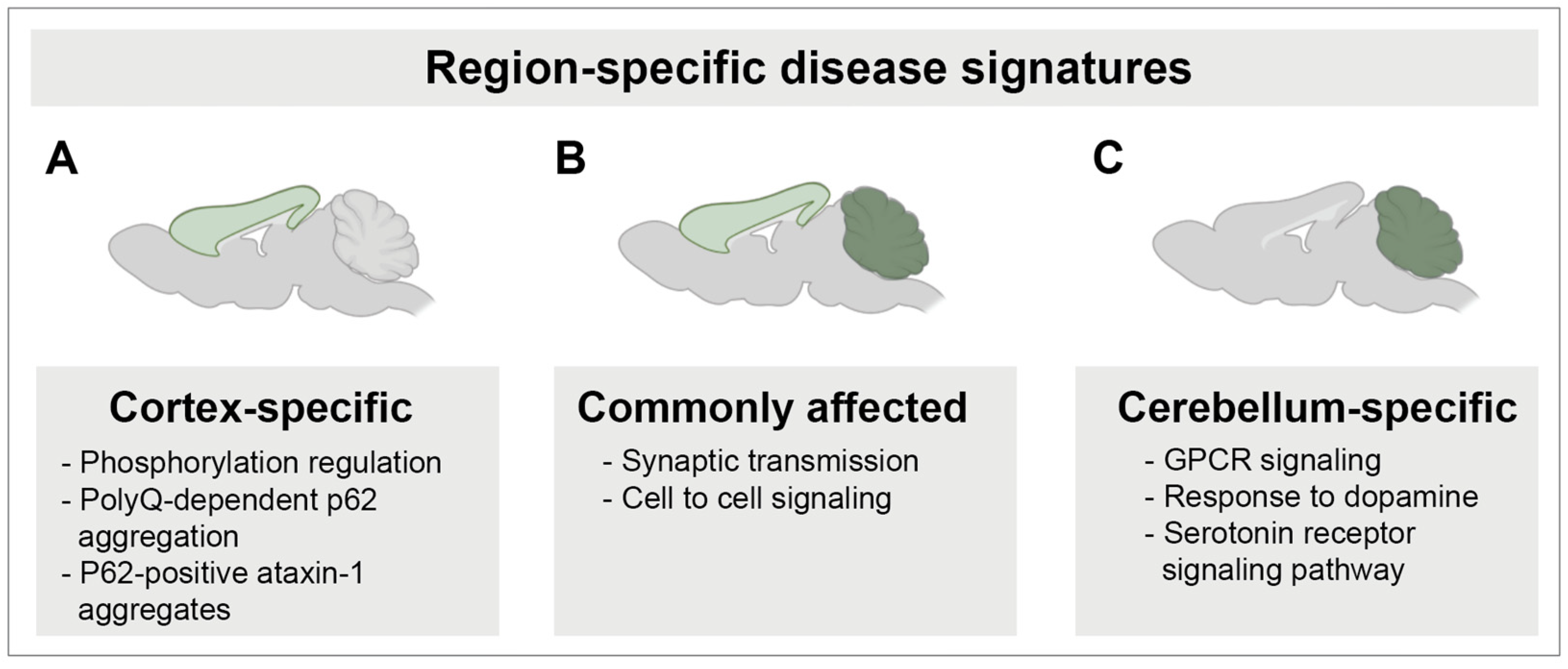 lovtachページ ホールガーメント®（バーガンディ） | LOVOT ウェブストア
