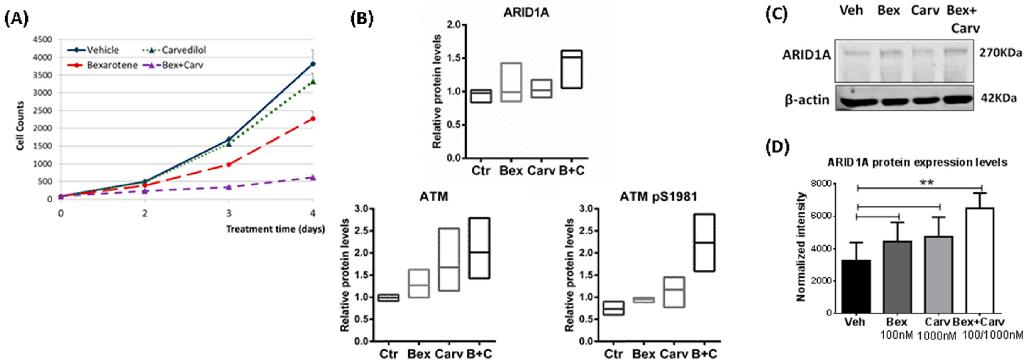 Cells 11 02633 g001 550