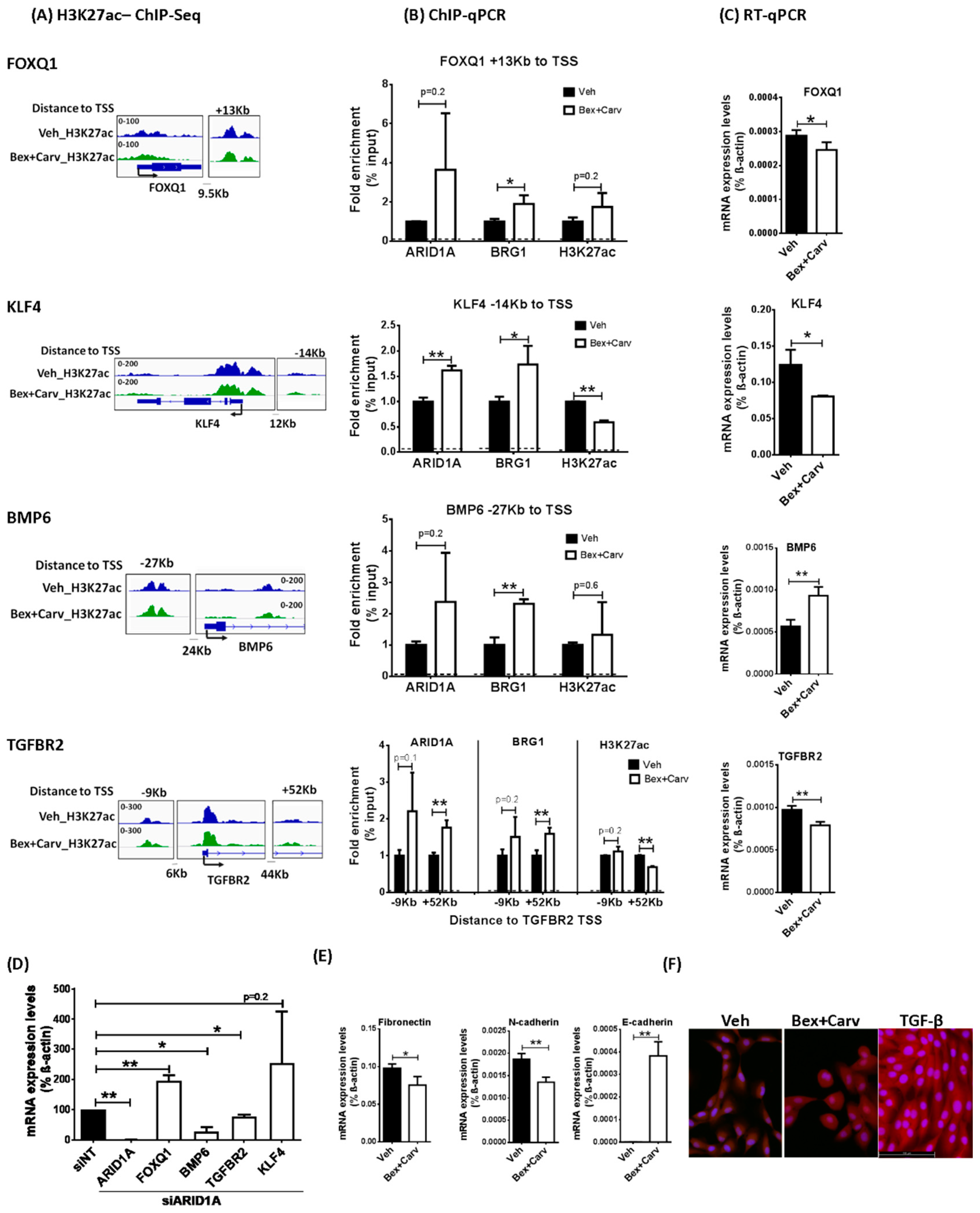 Cells 11 02633 g002 550