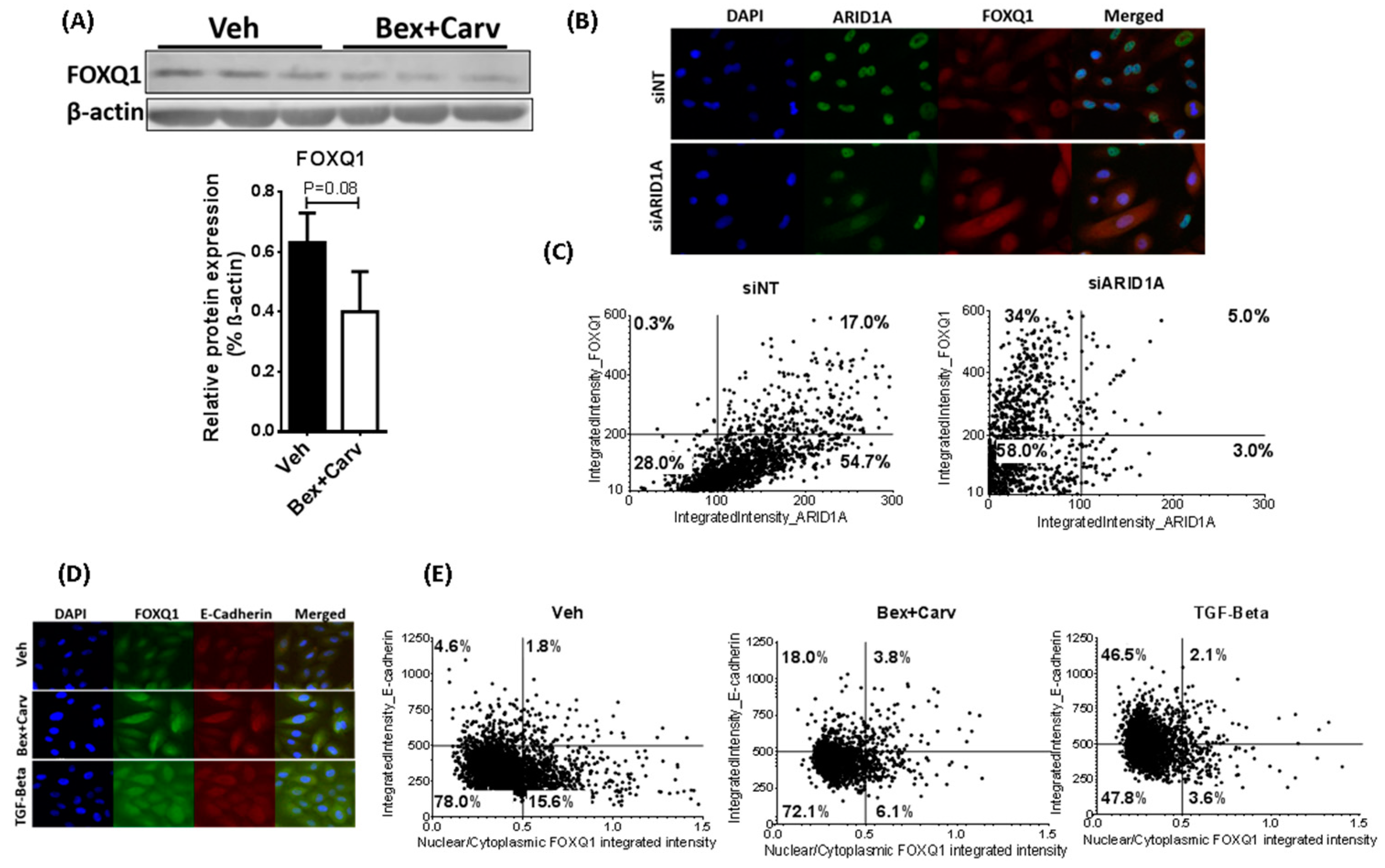 Cells 11 02633 g003 550