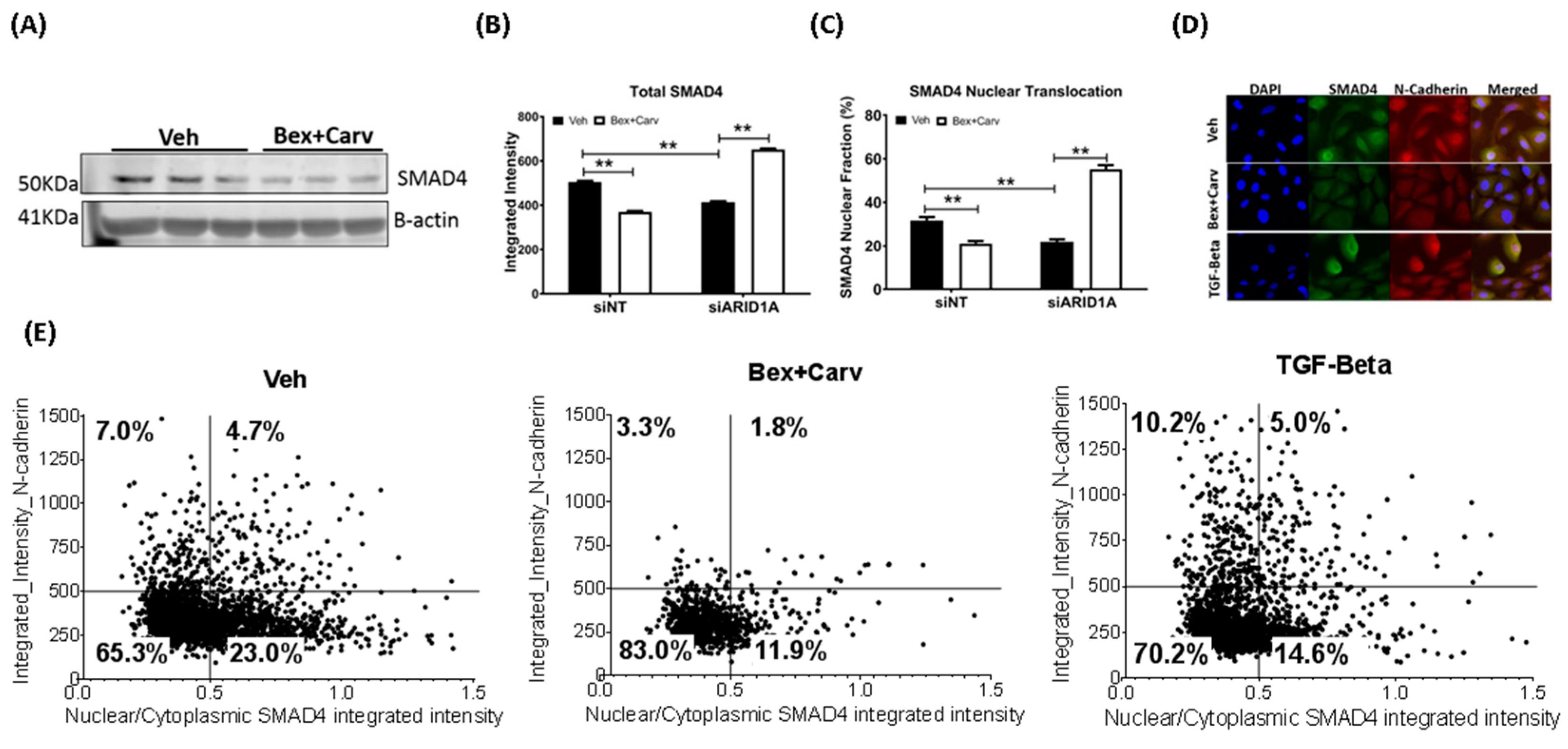 Cells 11 02633 g004 550