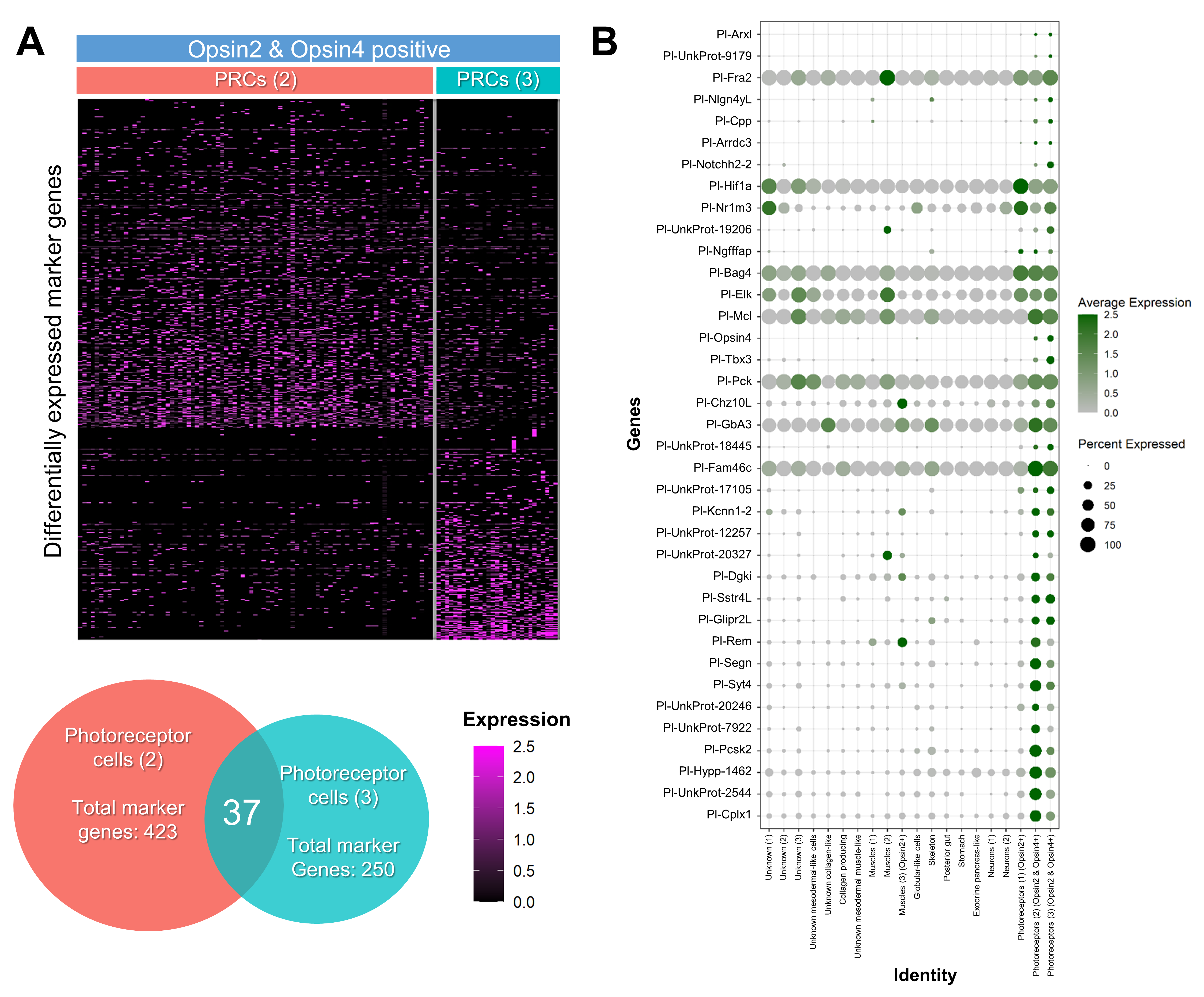 Cells 11 02636 g002 550