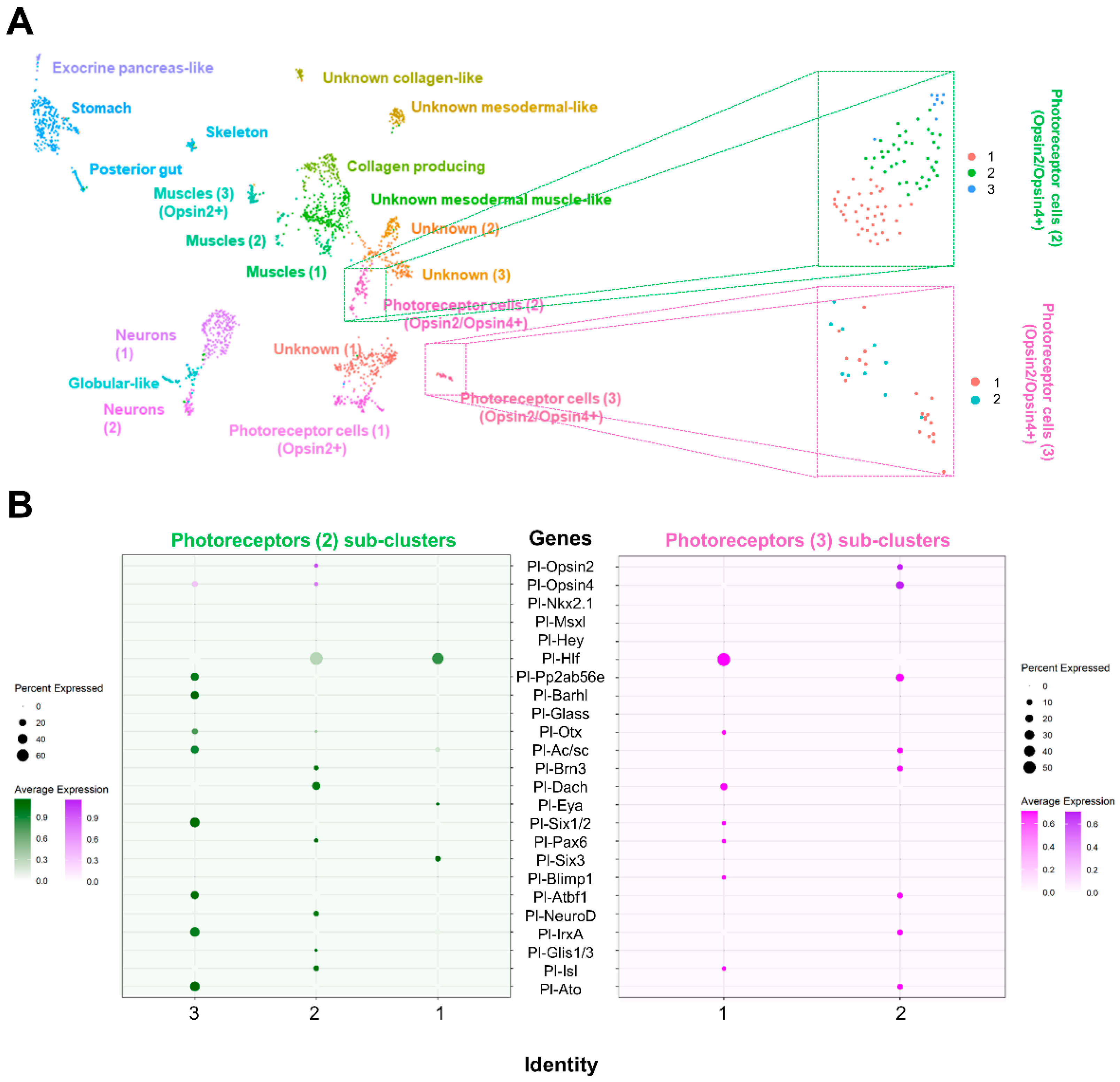 Cells 11 02636 g003 550
