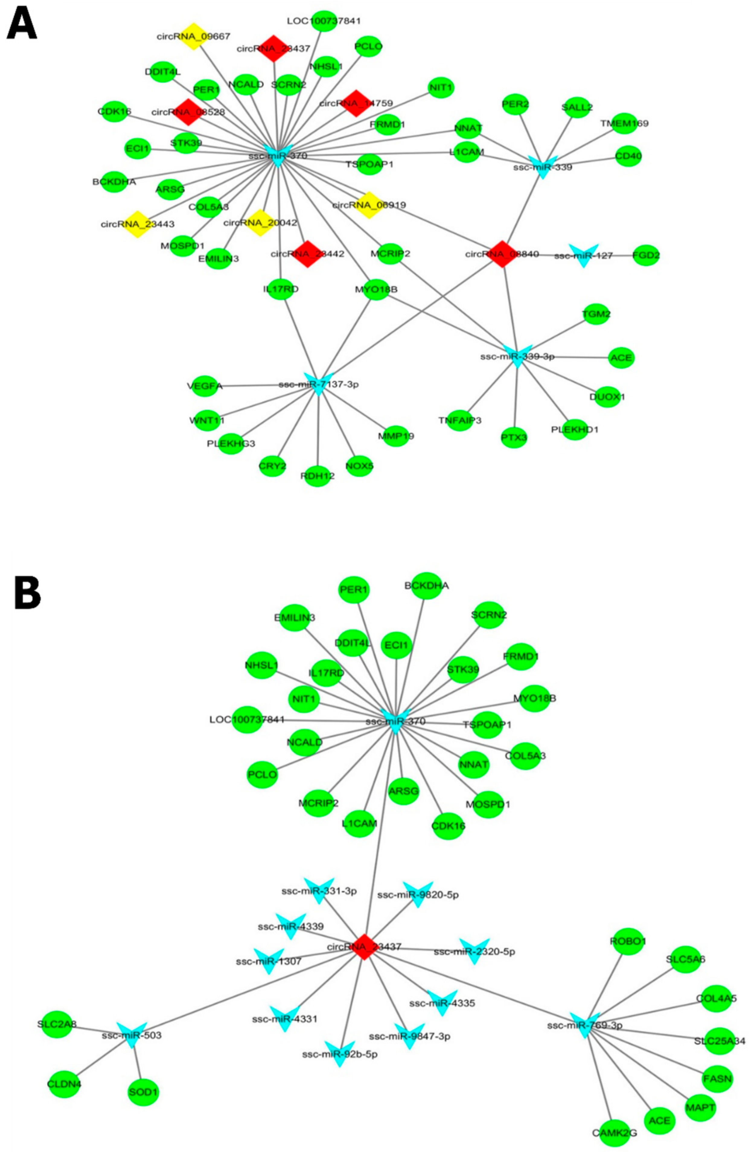 Cells 11 02638 g004 Cells 11 02638 g004