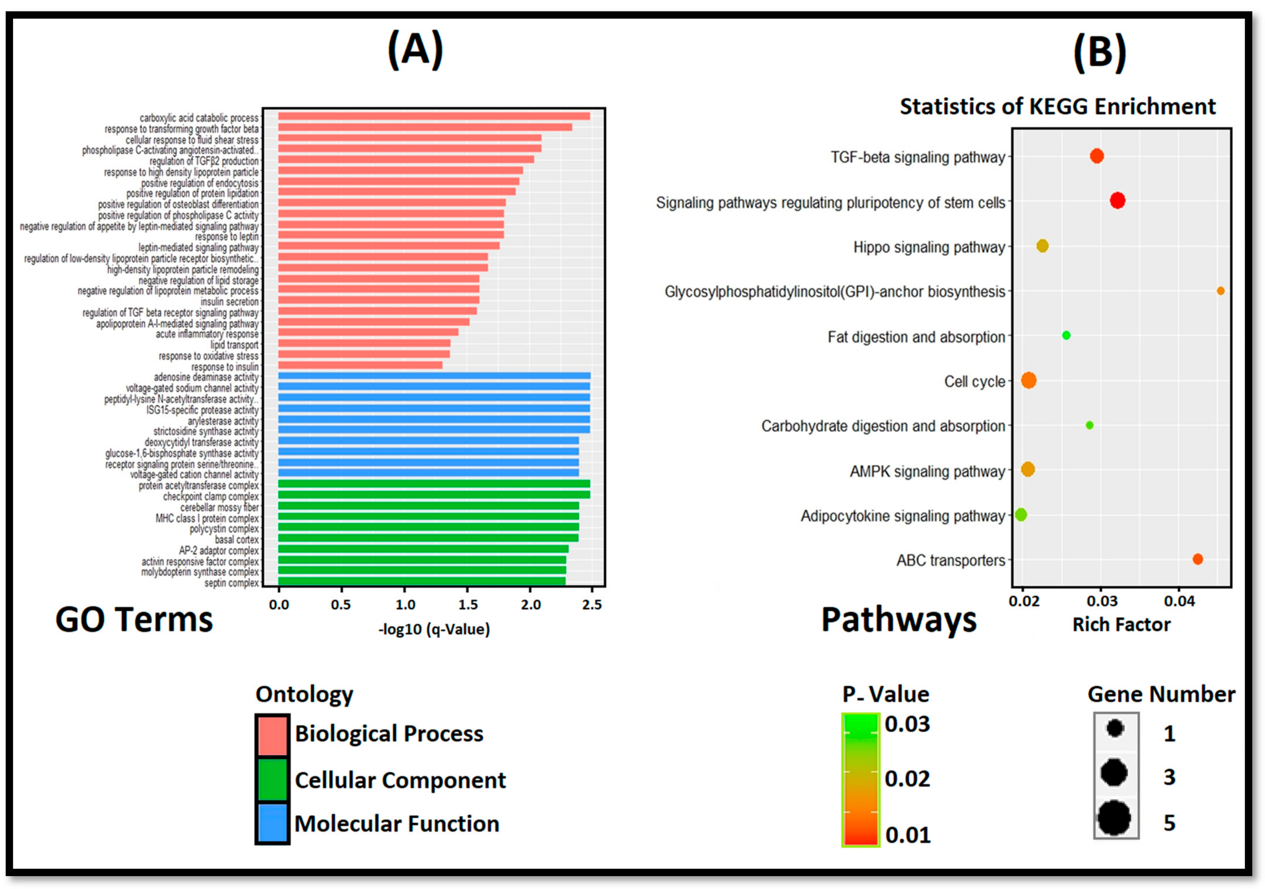 Cells 11 02638 g005 Cells 11 02638 g005