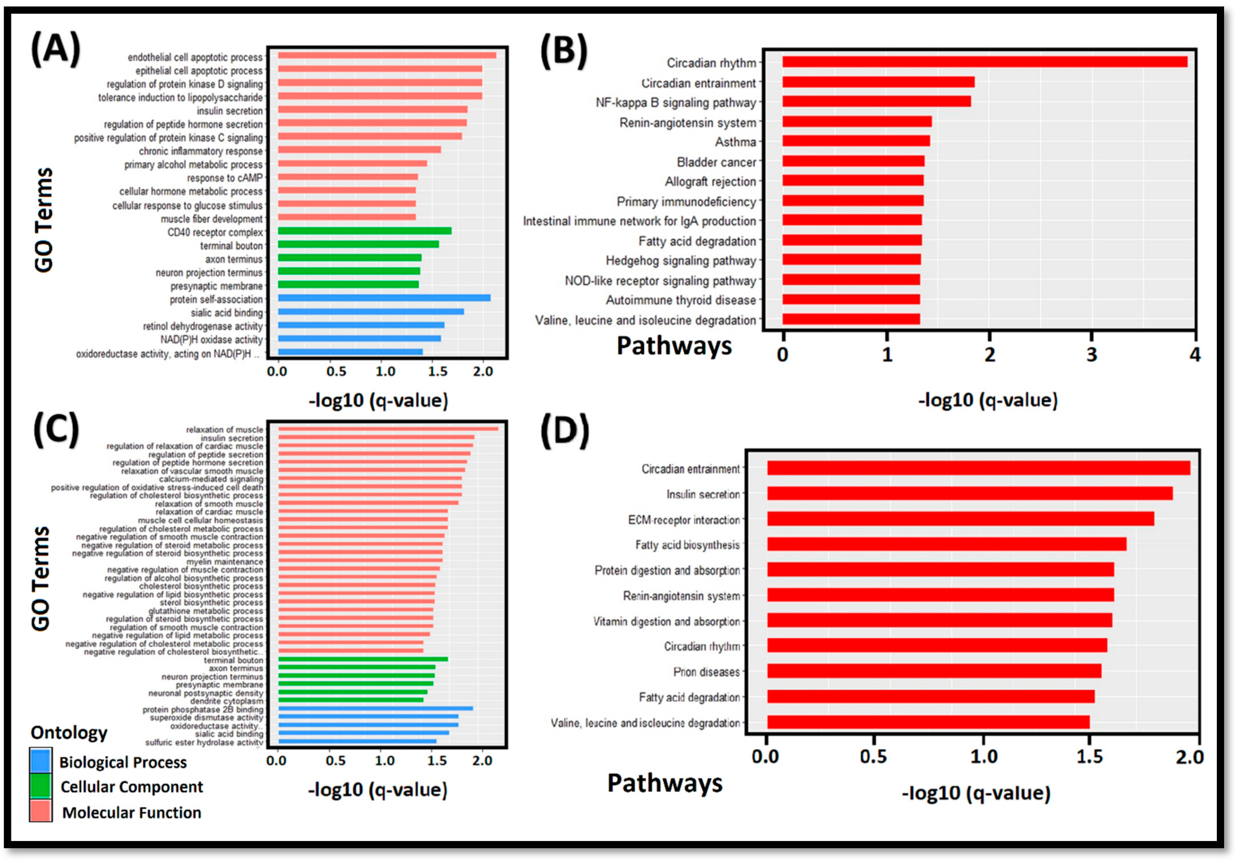 Cells 11 02638 g006 Cells 11 02638 g006