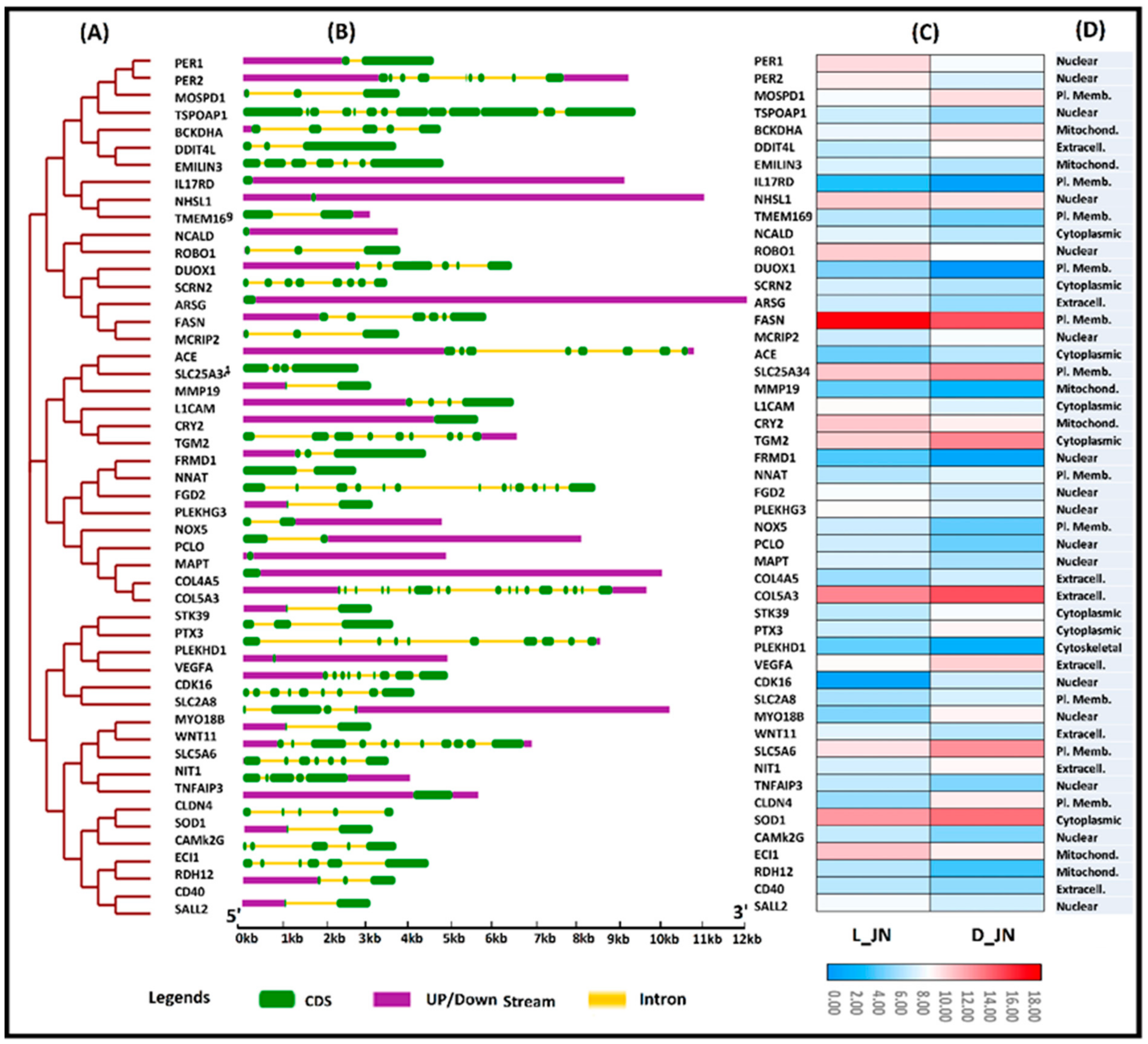Cells 11 02638 g007 Cells 11 02638 g007