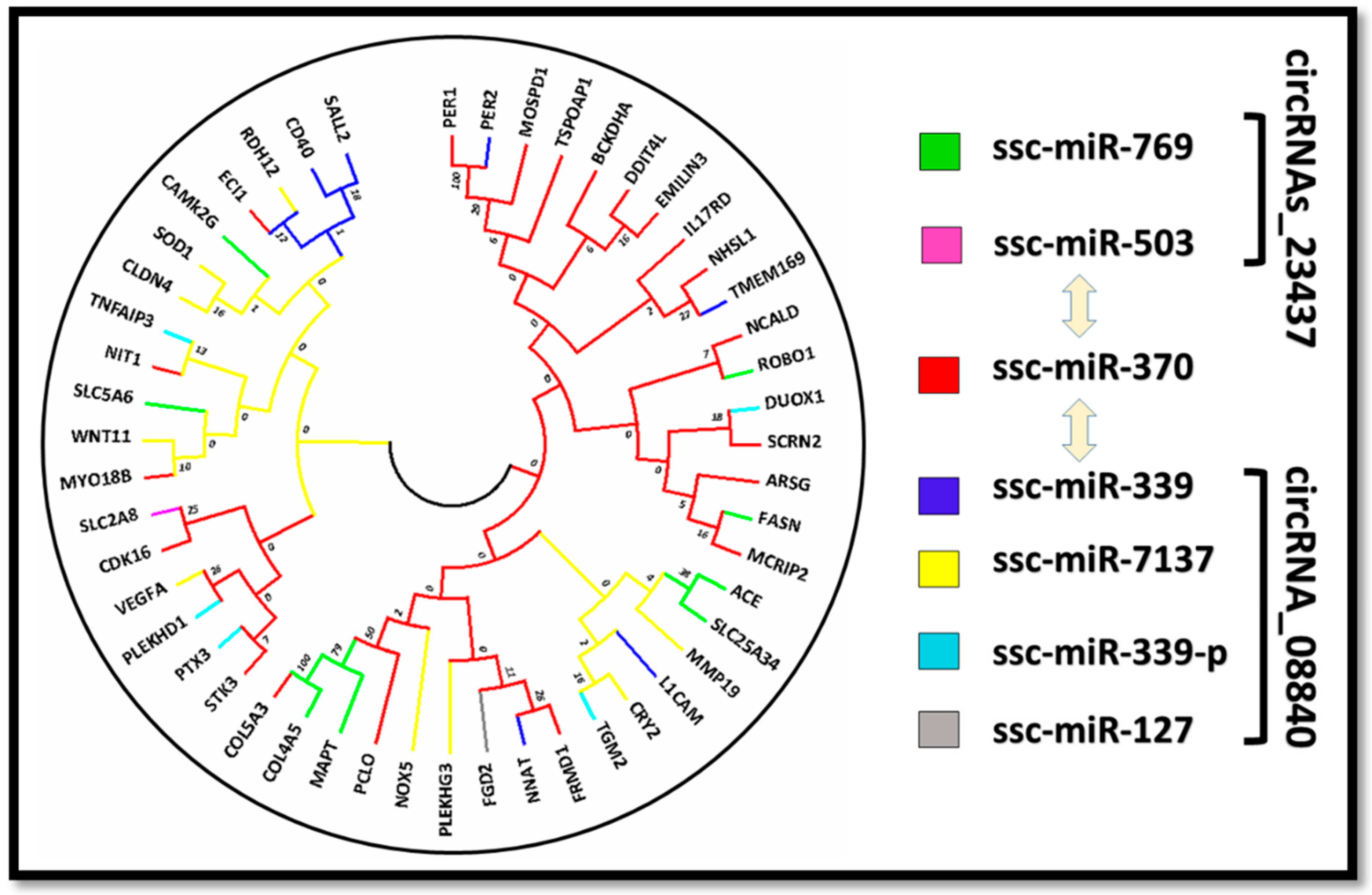 Cells 11 02638 g008 Cells 11 02638 g008