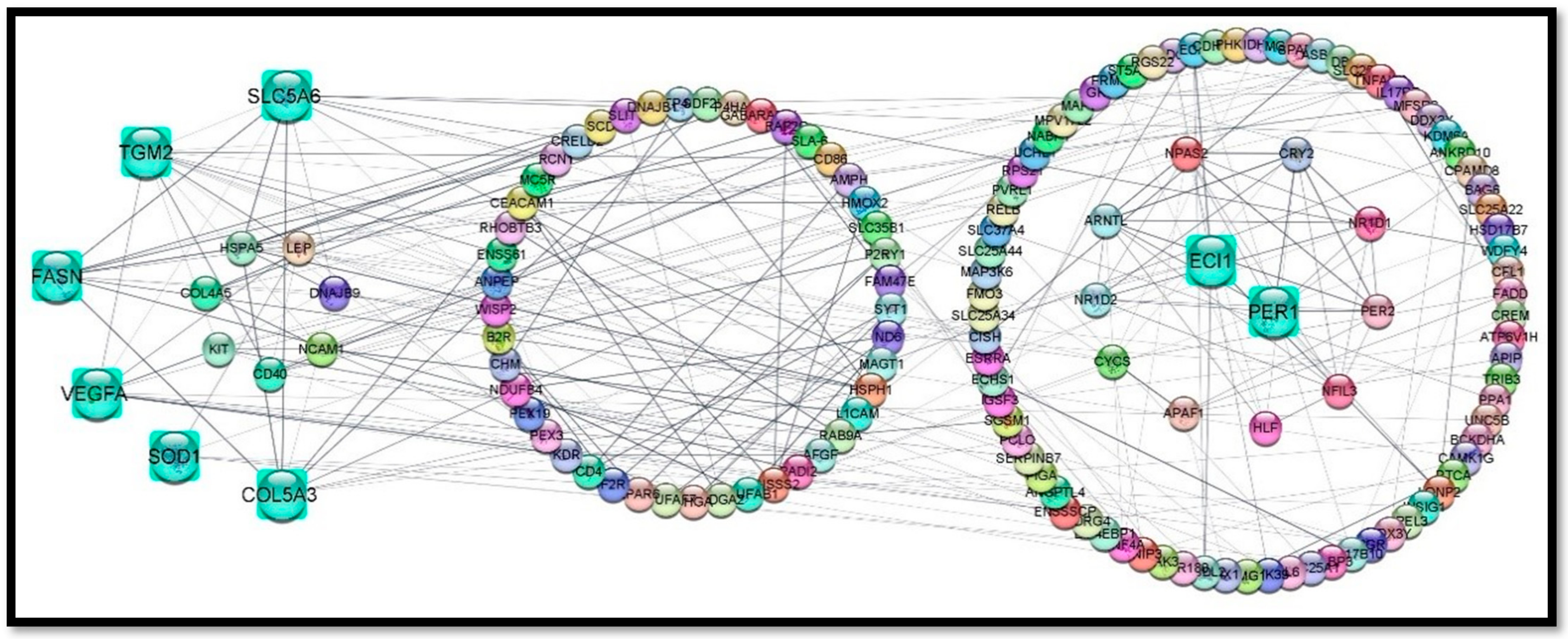 Cells 11 02638 g009 Cells 11 02638 g009